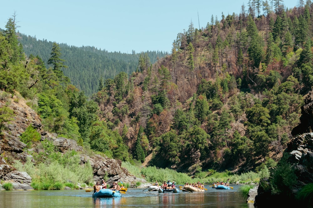 a group of people in kayaks on a river