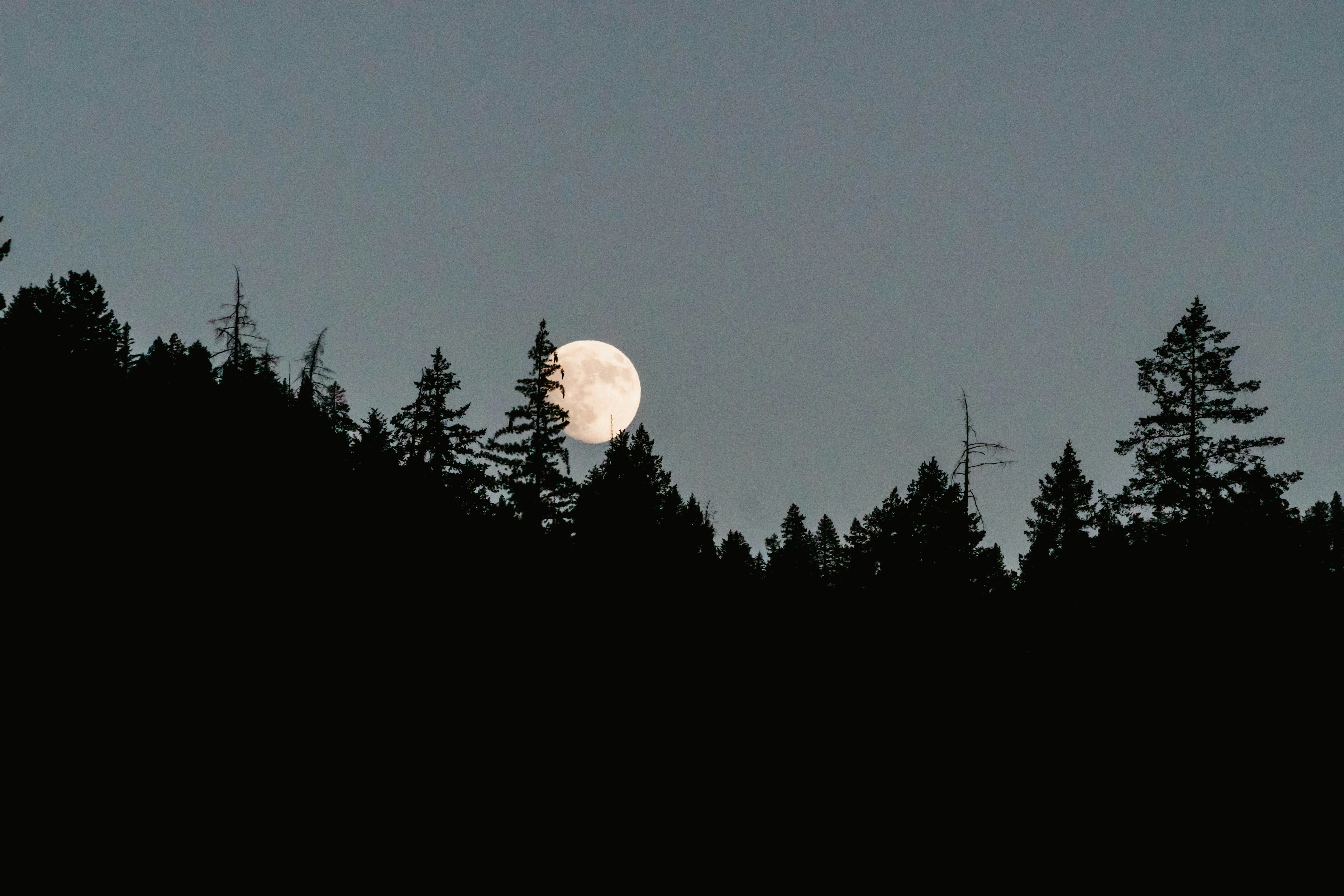 Wednesday Evening Jukebox...