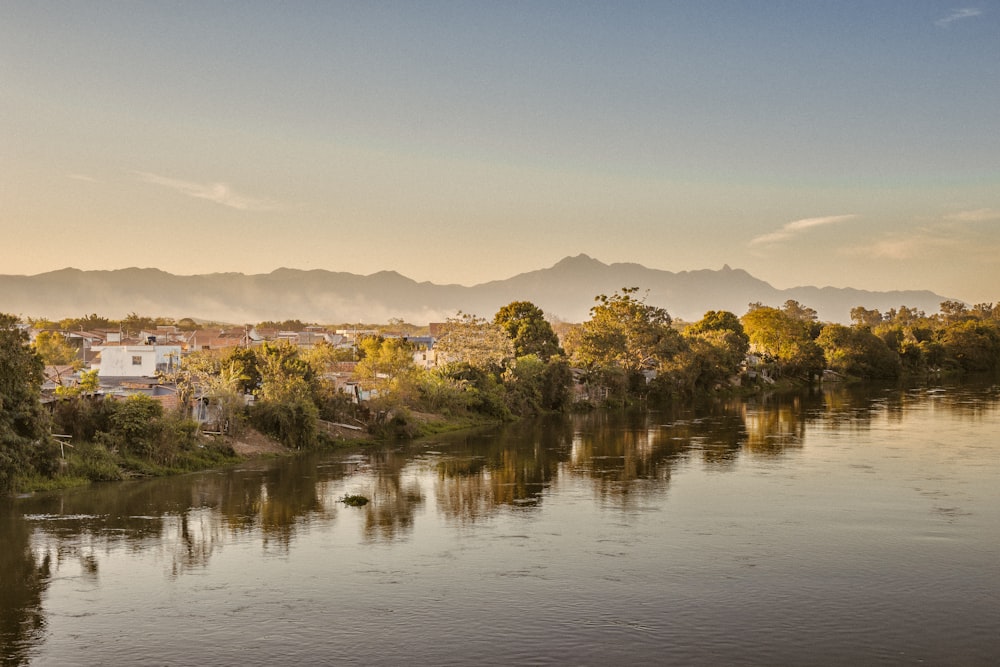 a body of water with trees and buildings around it