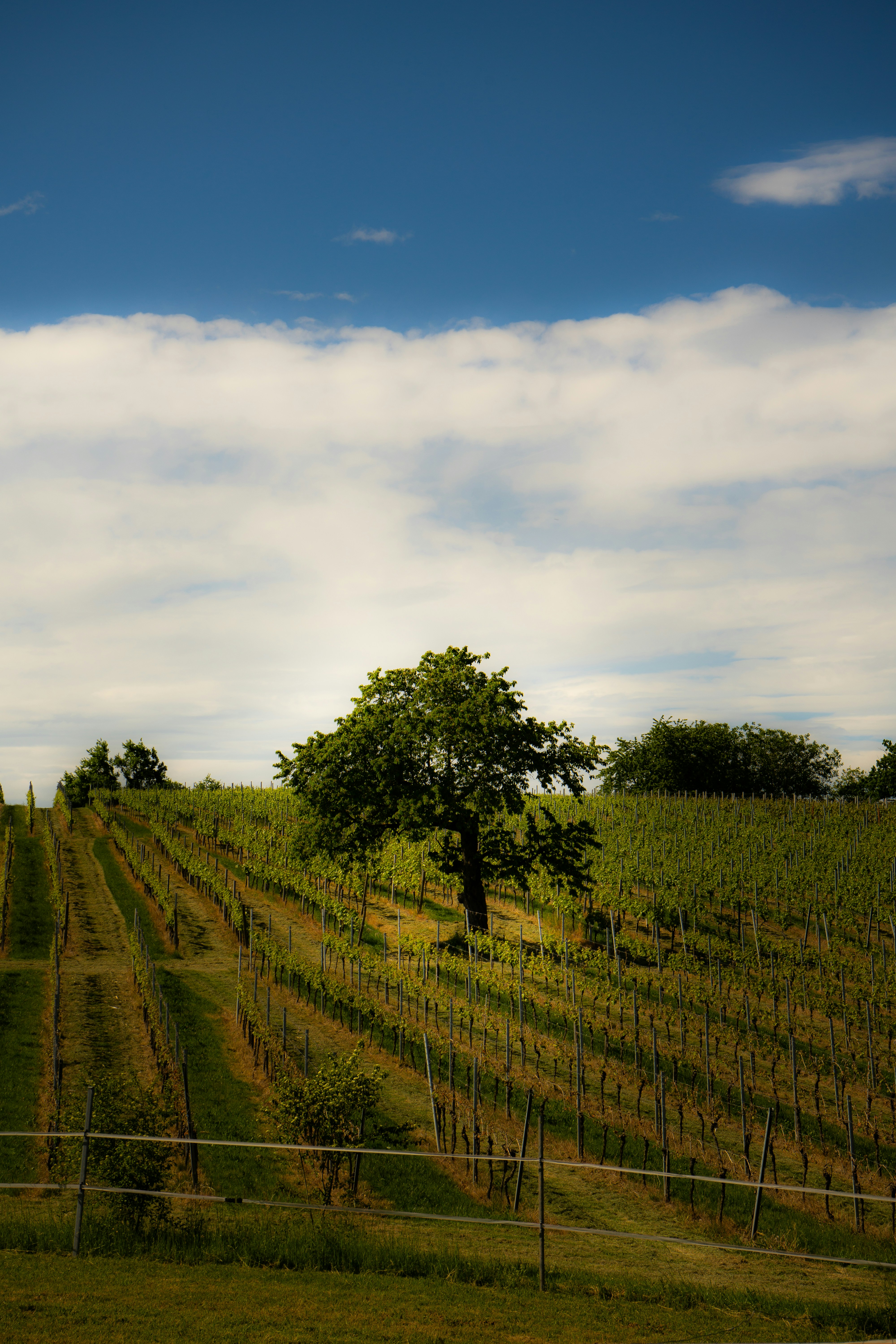 Photo by benjaminmerkle