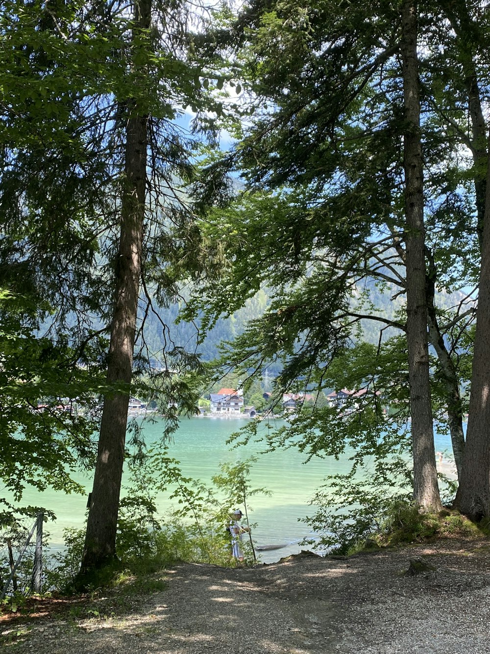 a person standing on a path by a body of water