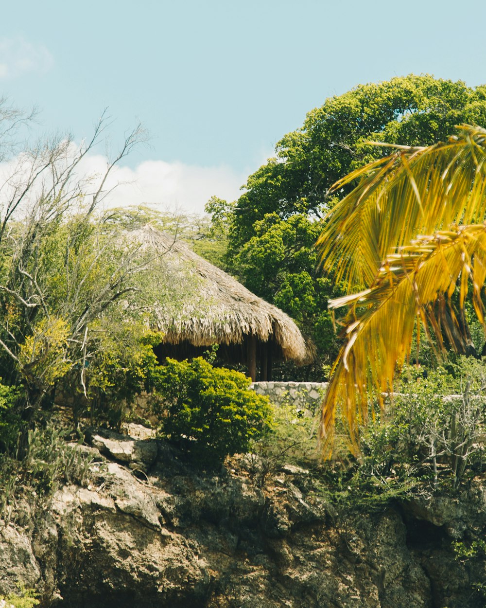 uma cabana na floresta