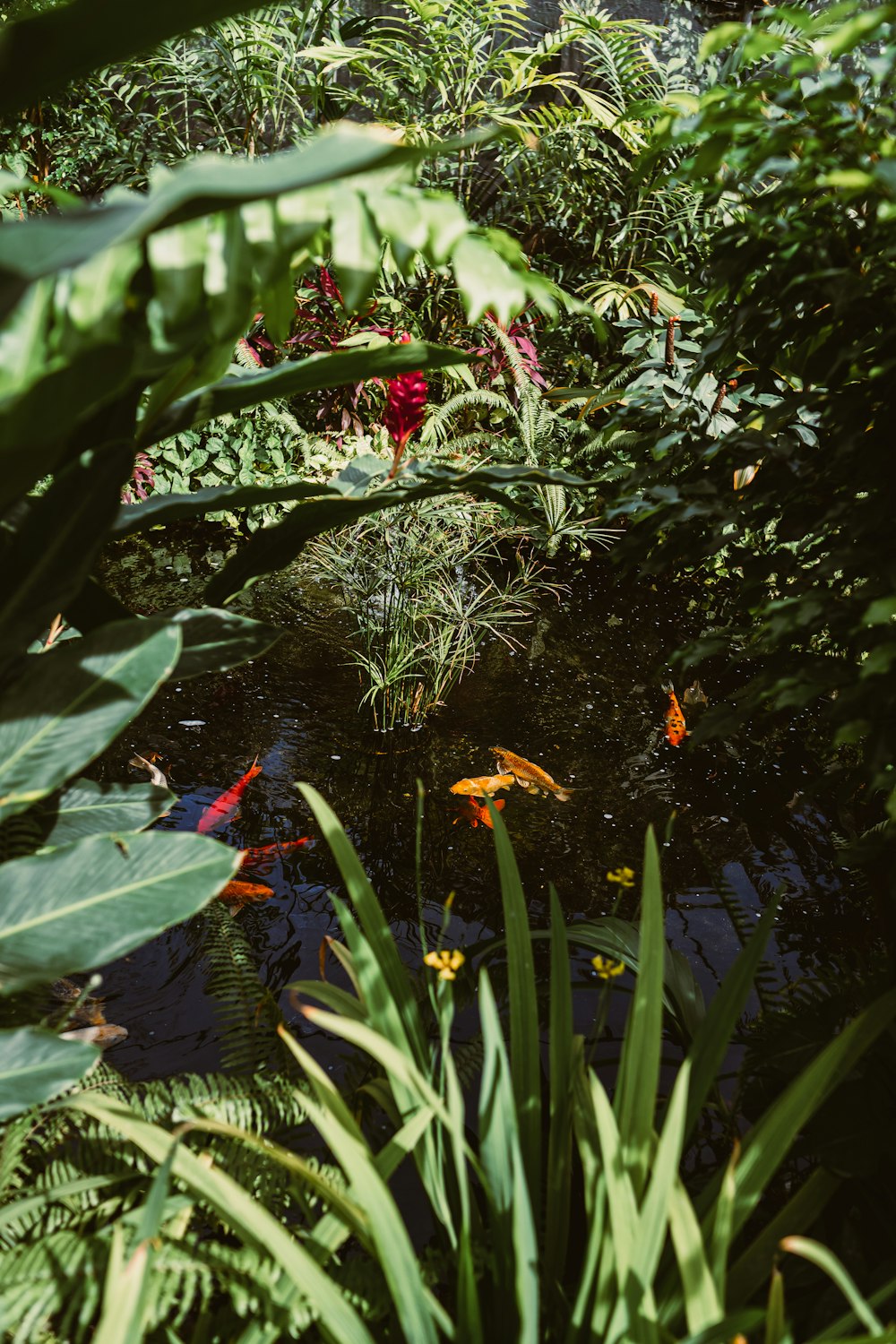 a plant with flowers