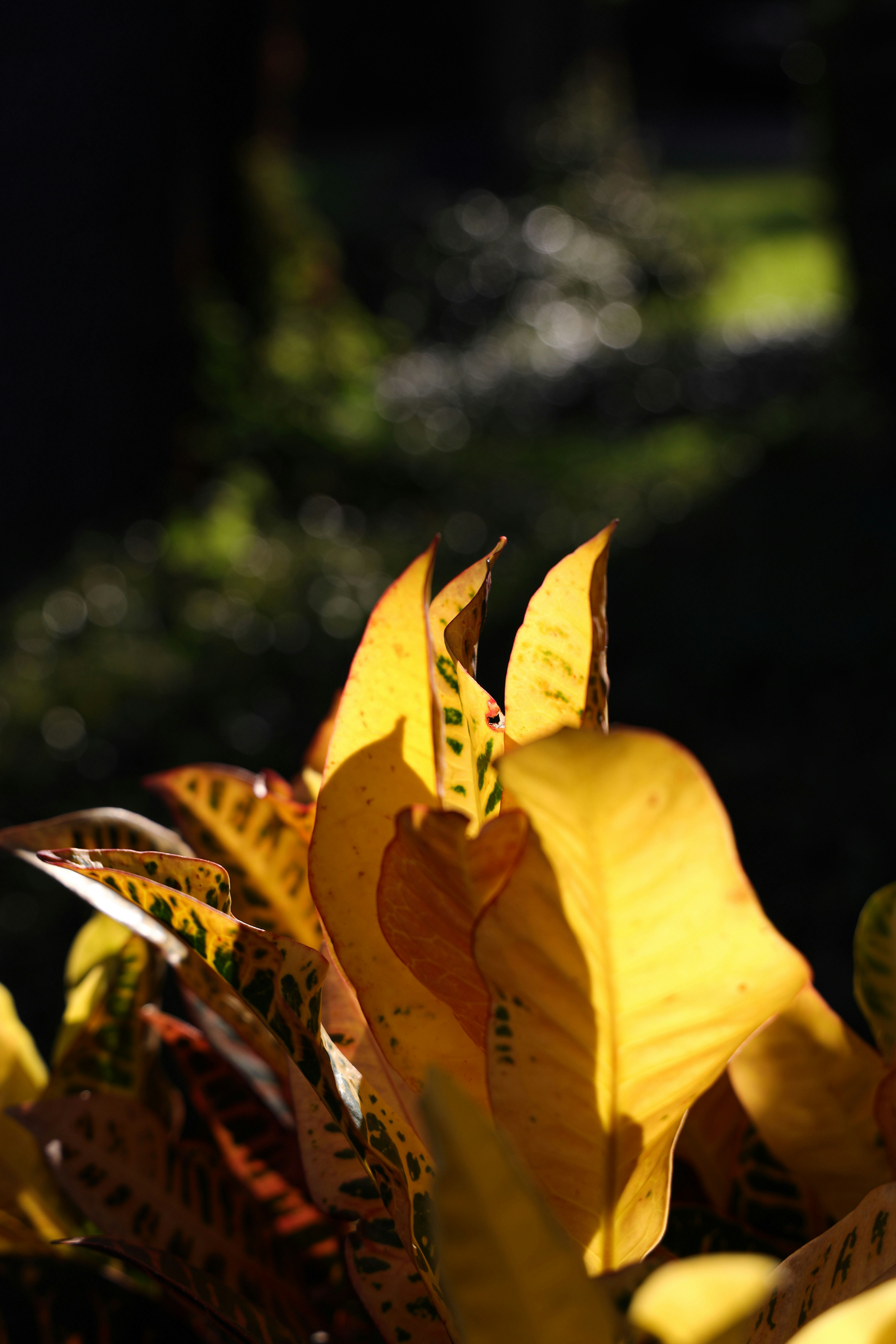 Photo by lilyycamillephoto