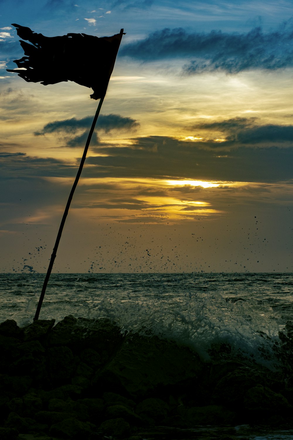 uma vara de pesca com um peixe na água