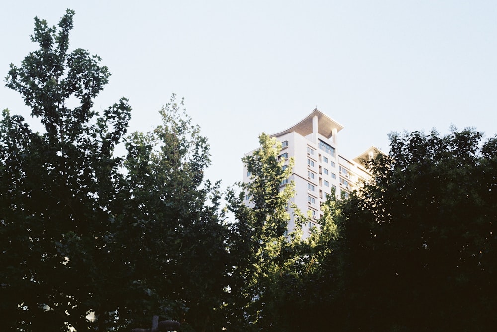 a tall building behind trees