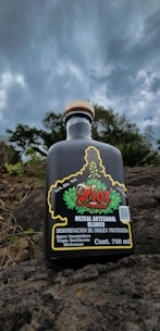 A bottle of mezcal is positioned on rocky terrain with cloudy skies above. The label features vibrant red and green colors with detailed designs, indicating its artisanal craftsmanship.