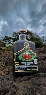 A bottle of mezcal is positioned on rocky terrain with cloudy skies above. The label features vibrant red and green colors with detailed designs, indicating its artisanal craftsmanship.