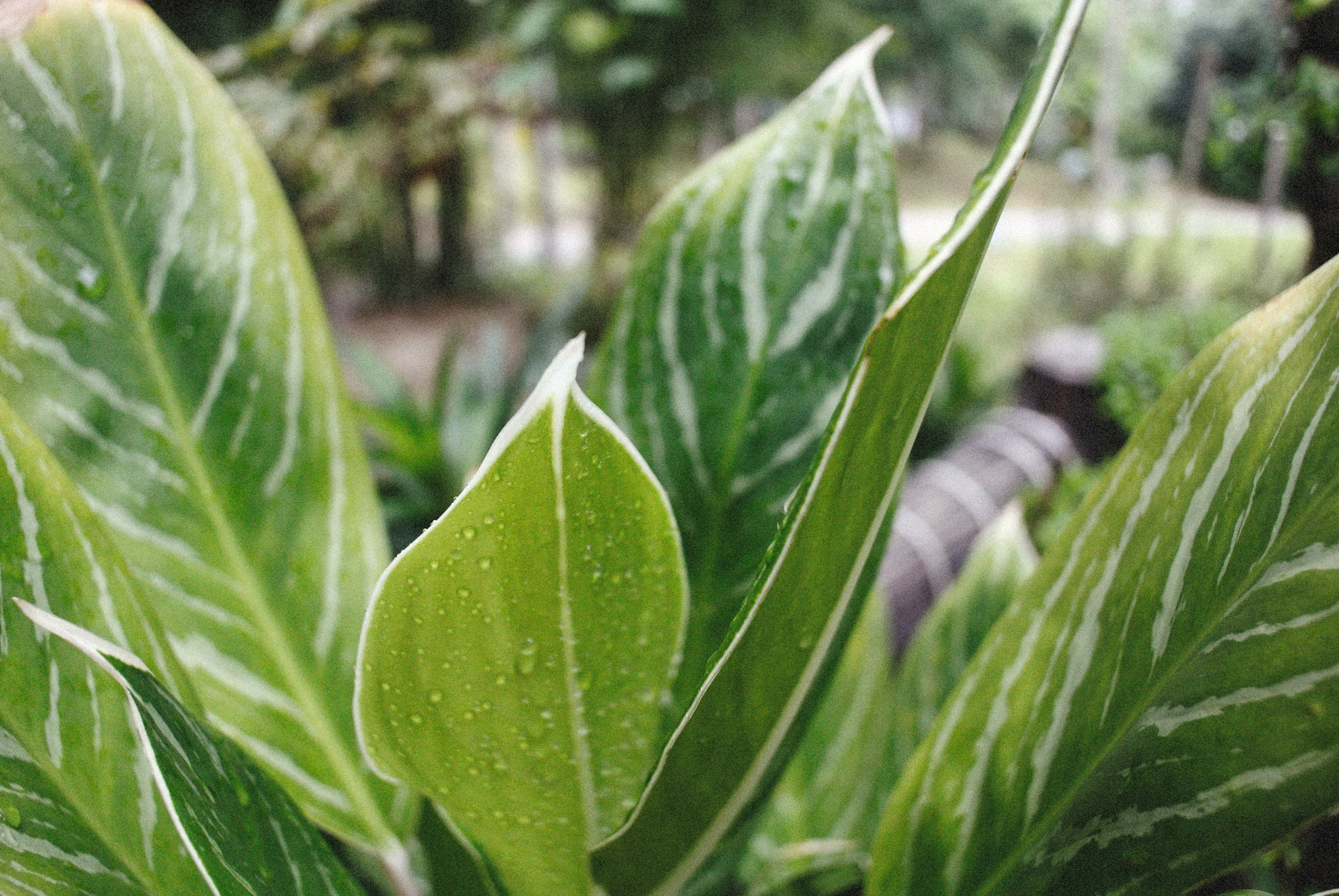 Photo by alexeydemidov