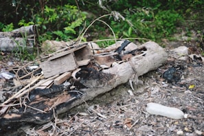 A scene of outdoor debris featuring a charred log and scattered wooden planks lying on the ground. The setting is surrounded by greenery, with leaves and shrubs visible in the background. A discarded plastic bottle is lying on the ground among a mix of natural and human-made materials.