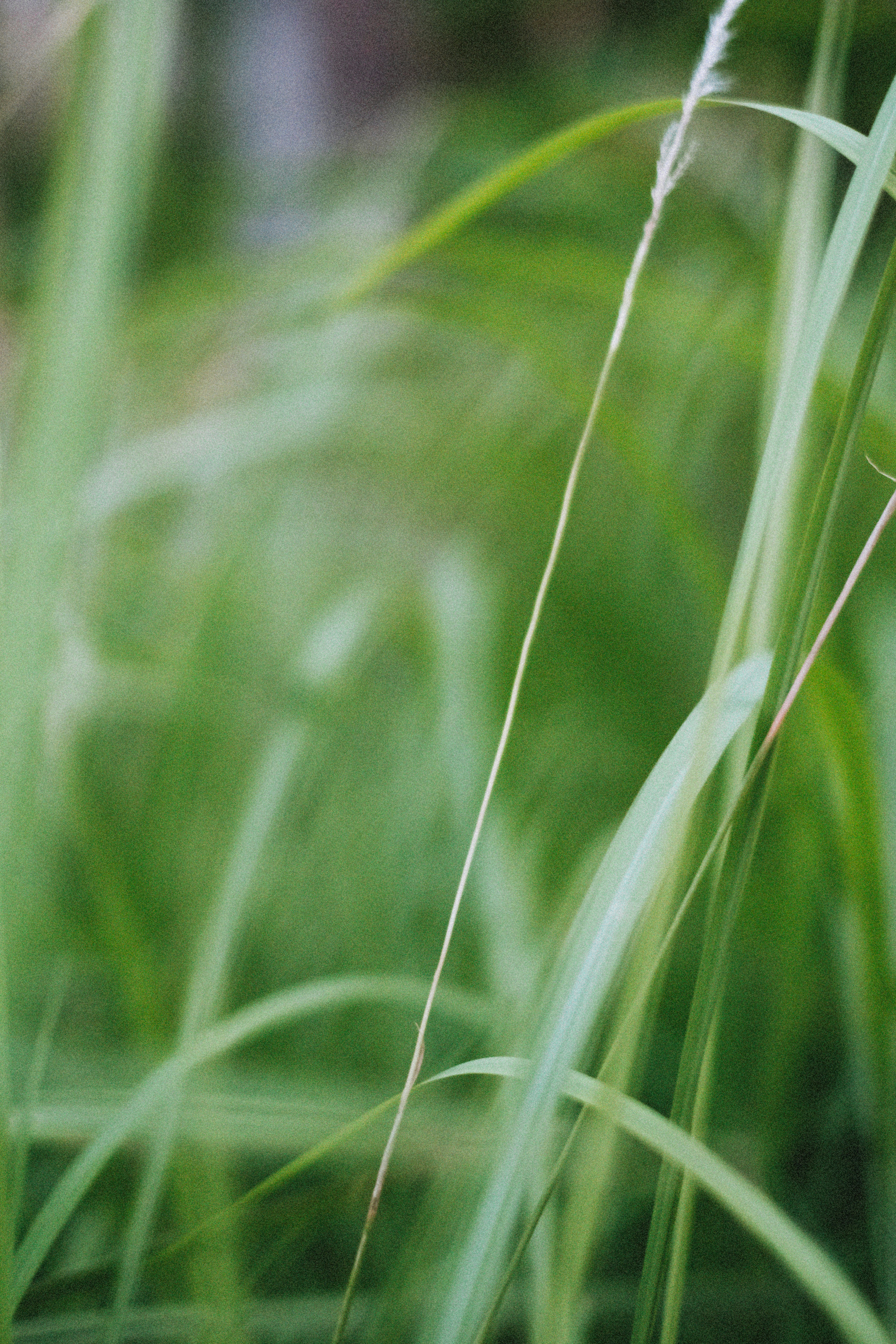 Photo by alexeydemidov