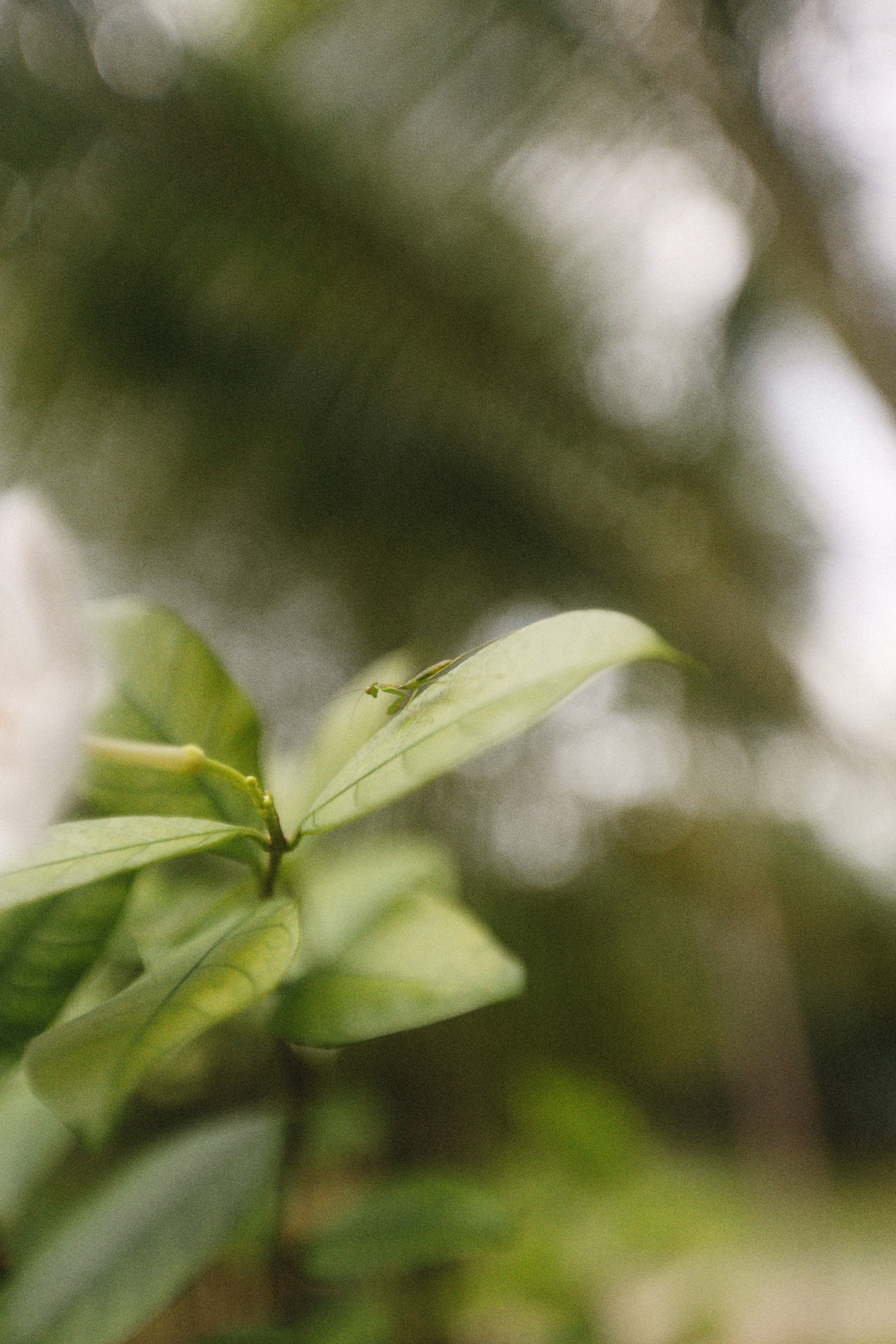 Photo by alexeydemidov