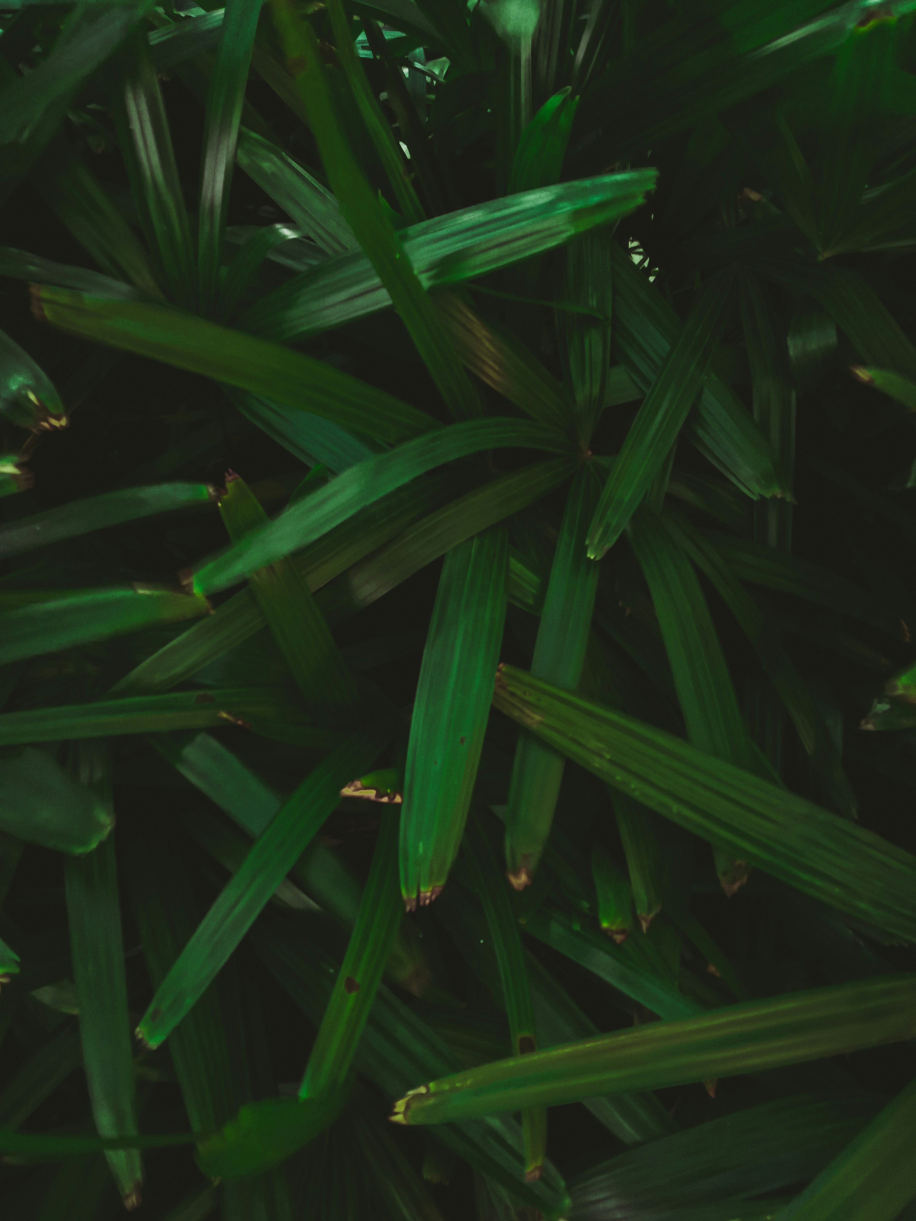 Photo by kalpit_visavadiya