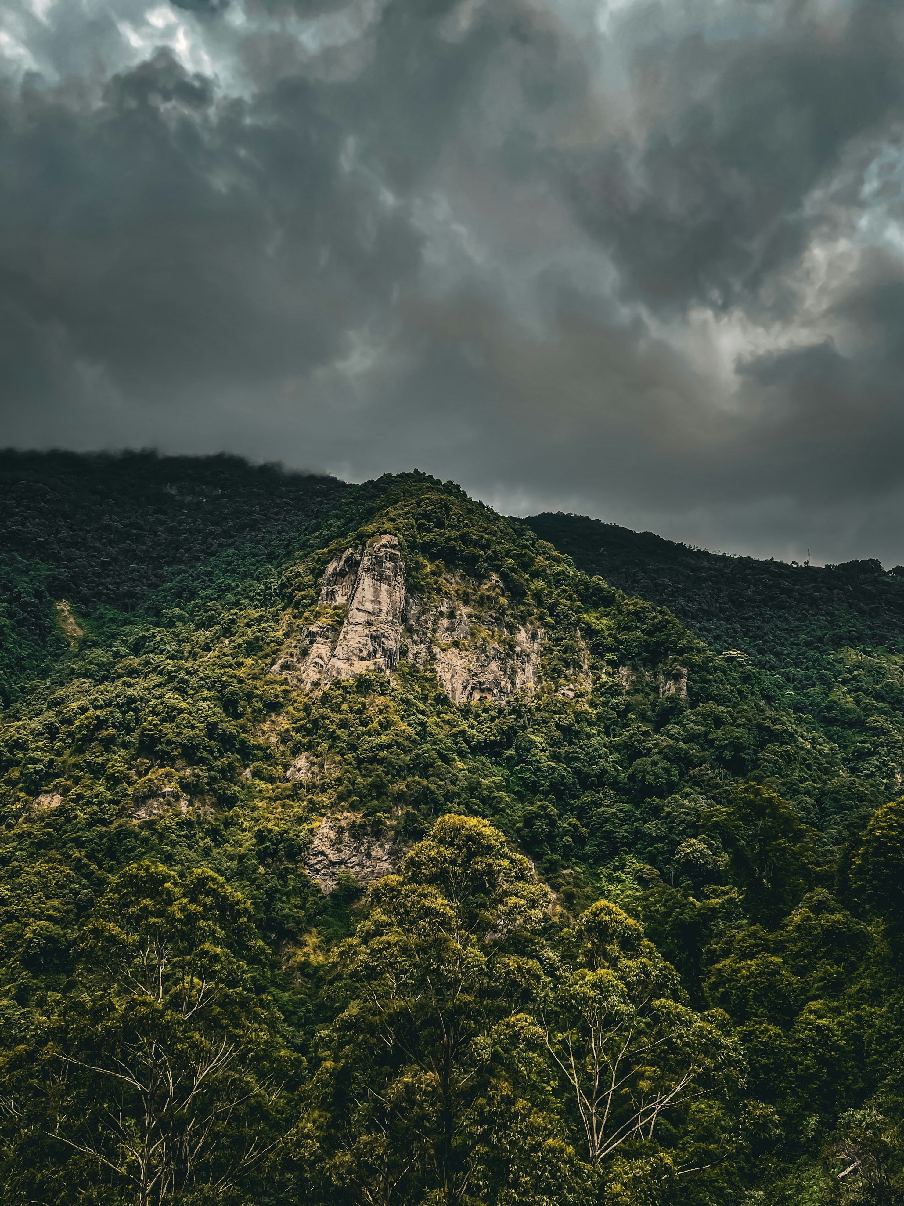 Photo by robinsonsam