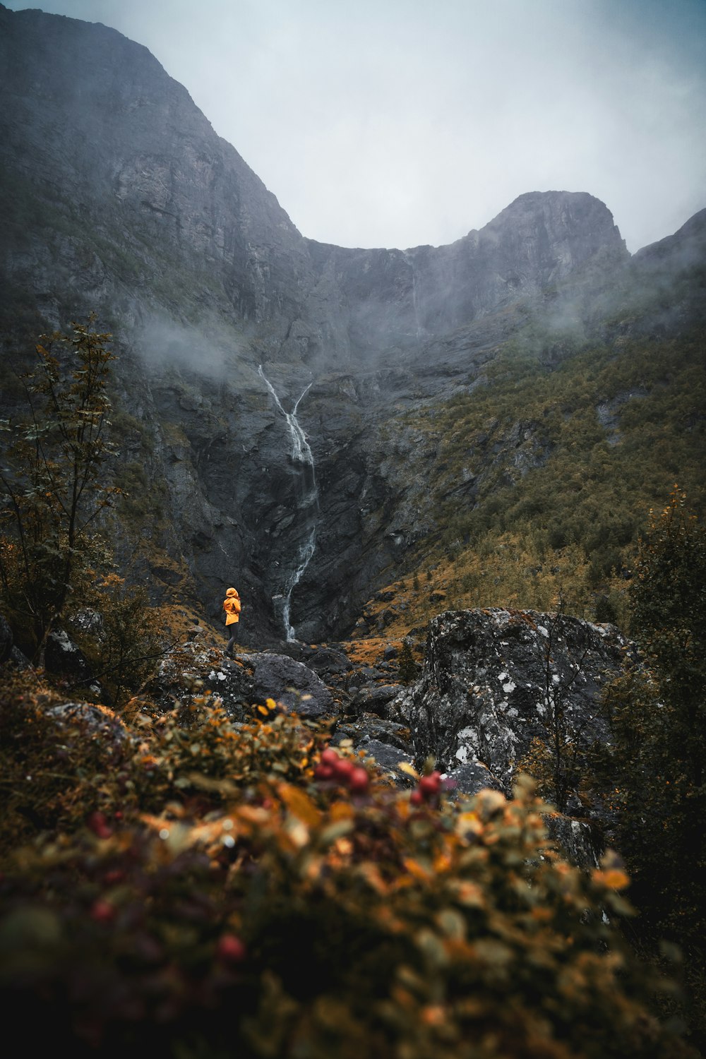 a person standing on a cliff