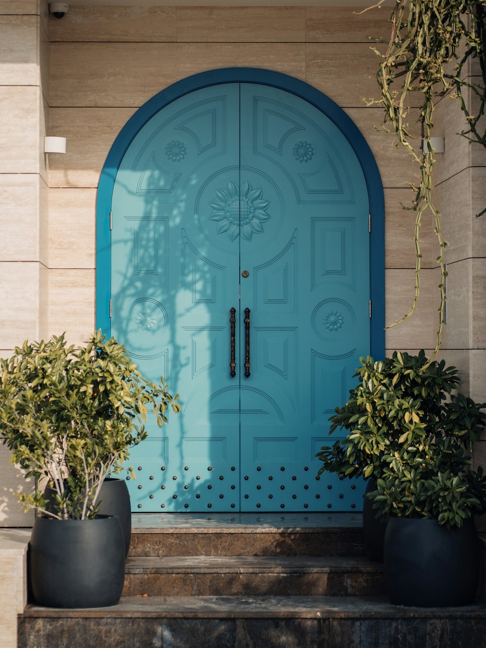 a blue door with a plant in front of it