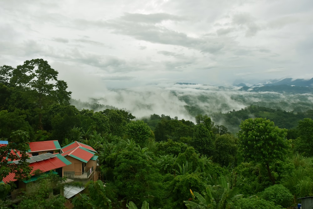 a group of houses surrounded by trees