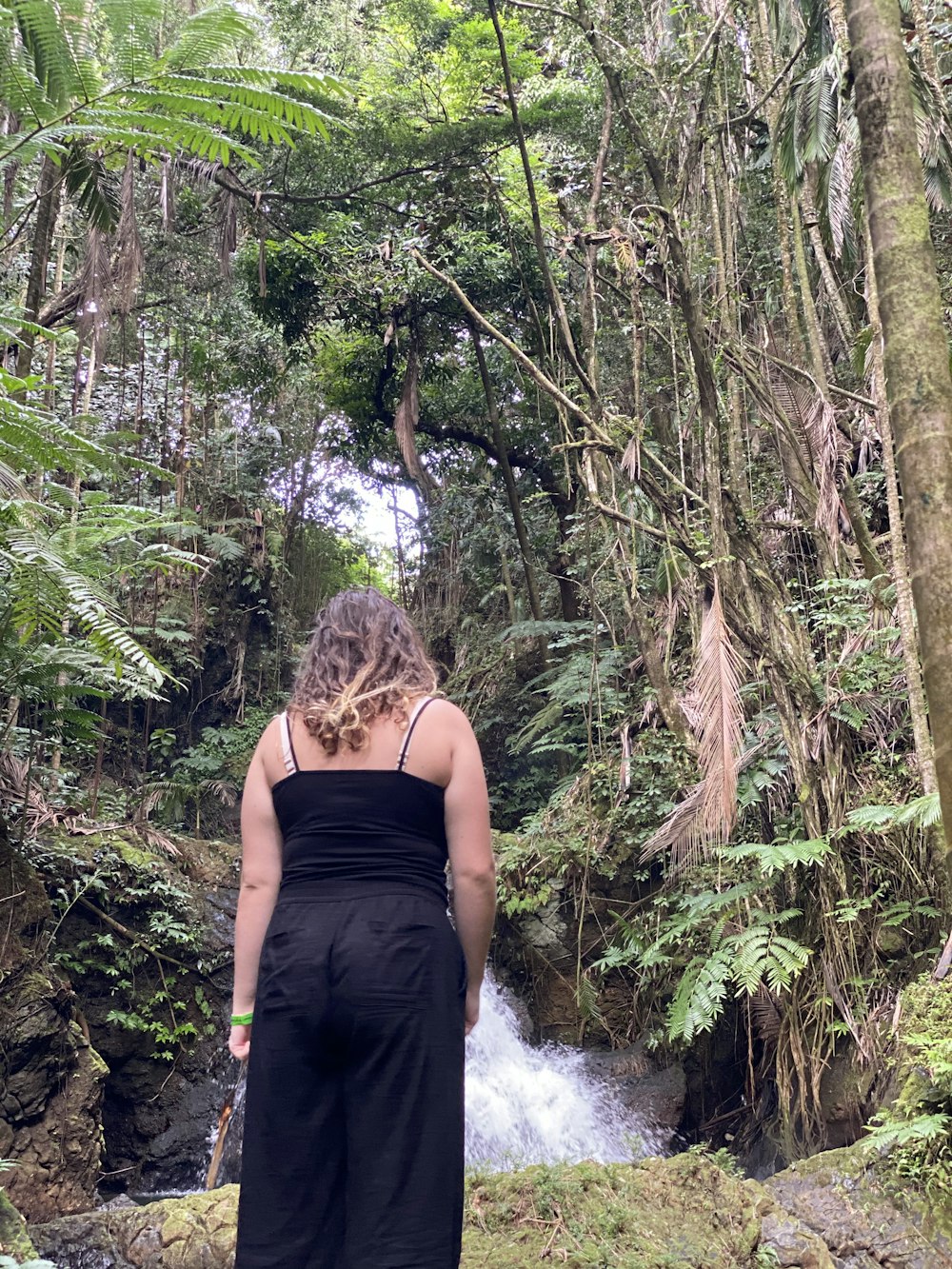 una persona in piedi di fronte a una cascata in una foresta