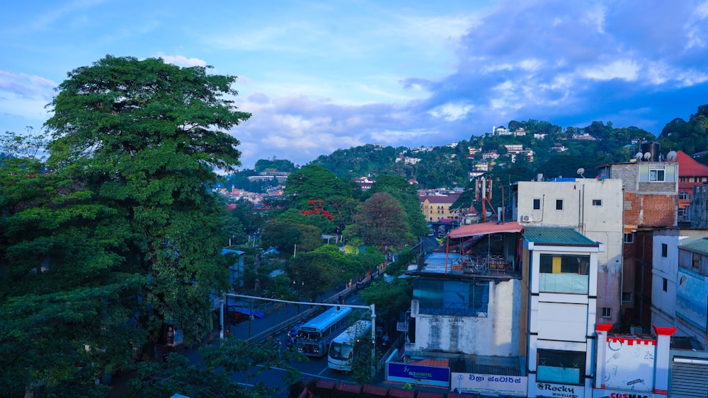 a city with a road and trees