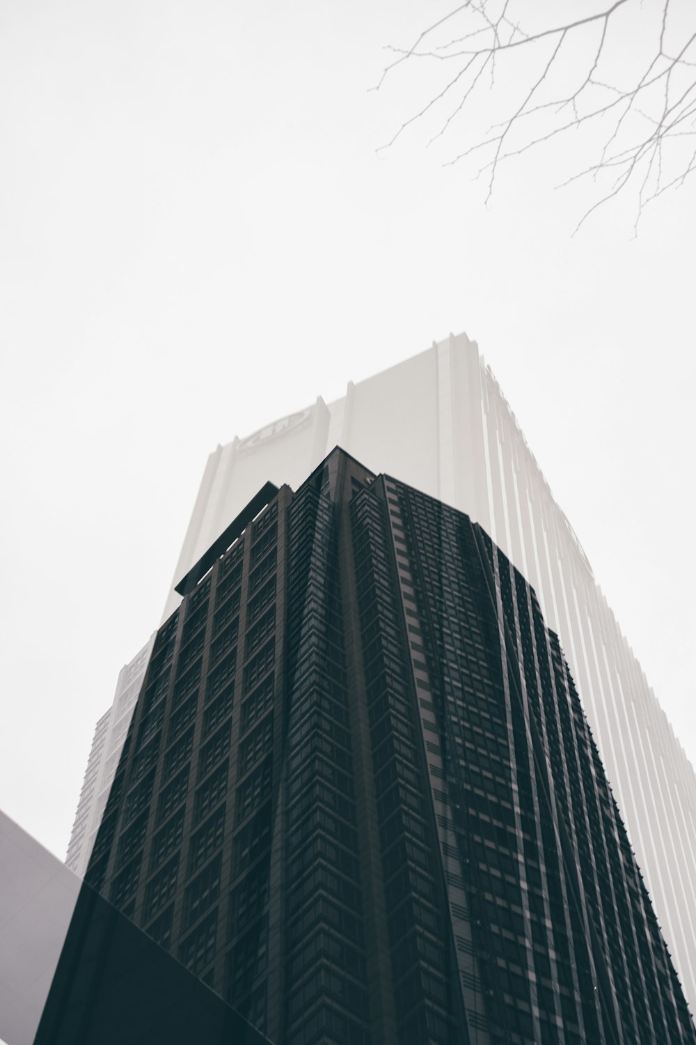 a tall building with a tree in the background