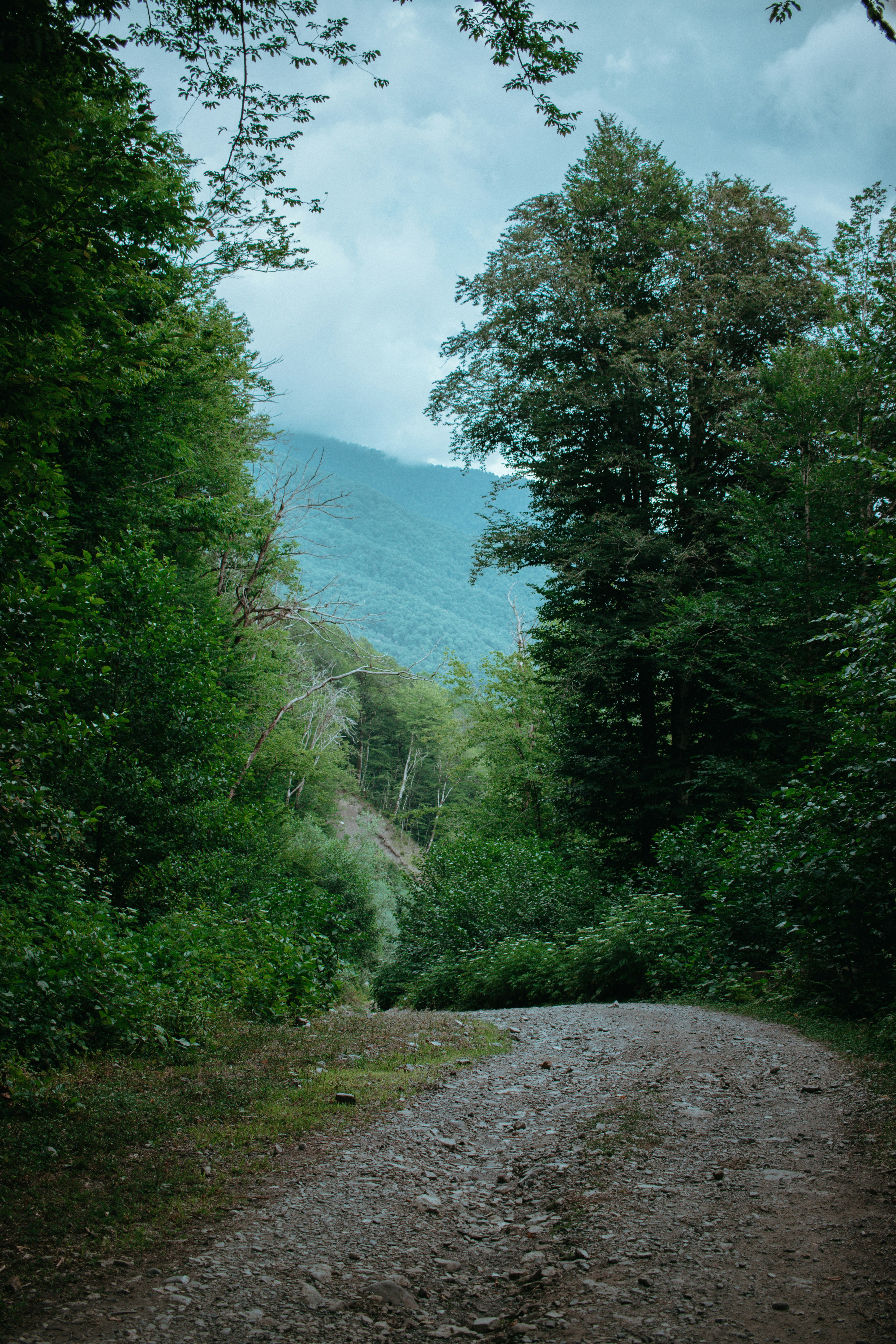 Photo by moklebust
