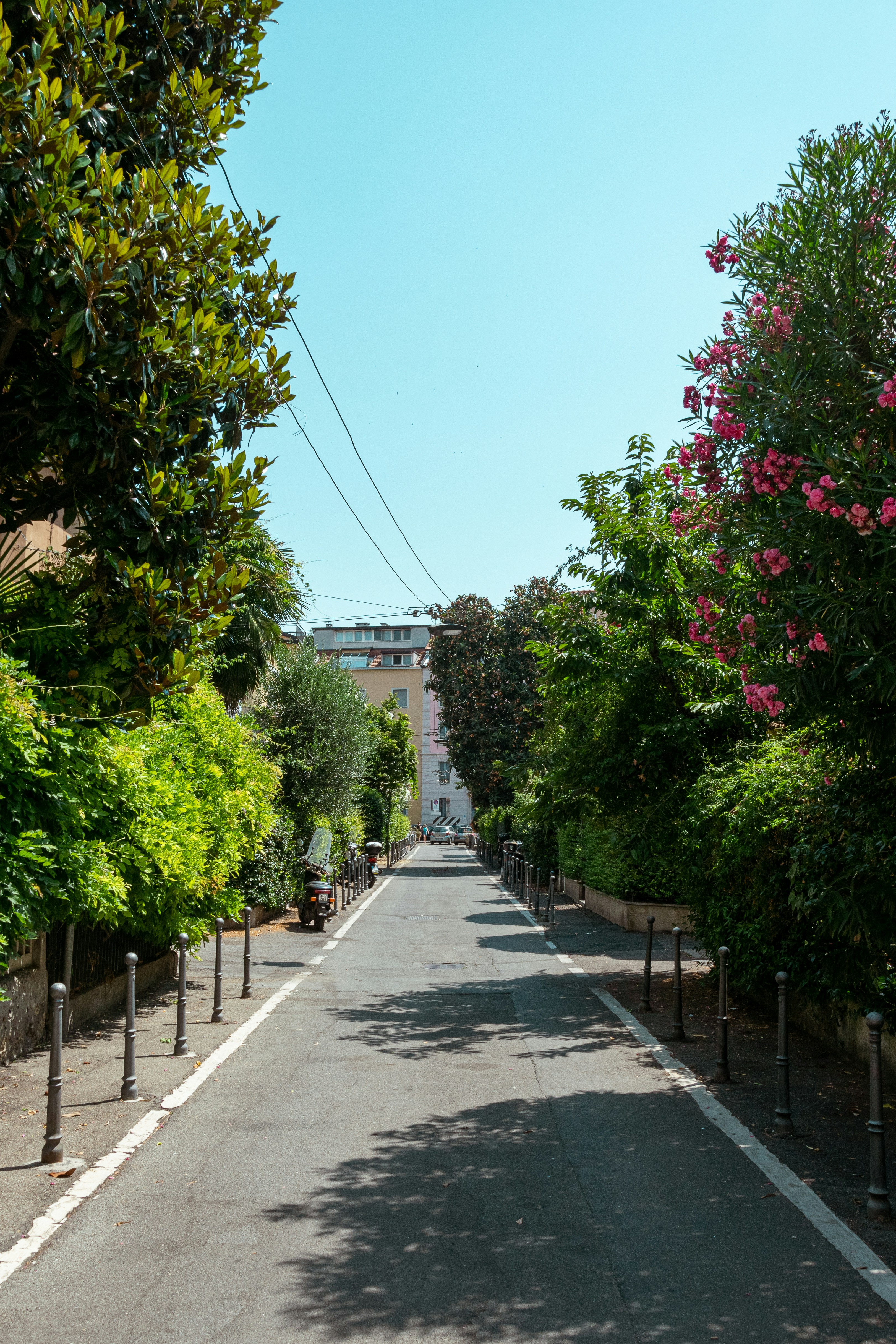 ATHENS TREECARE