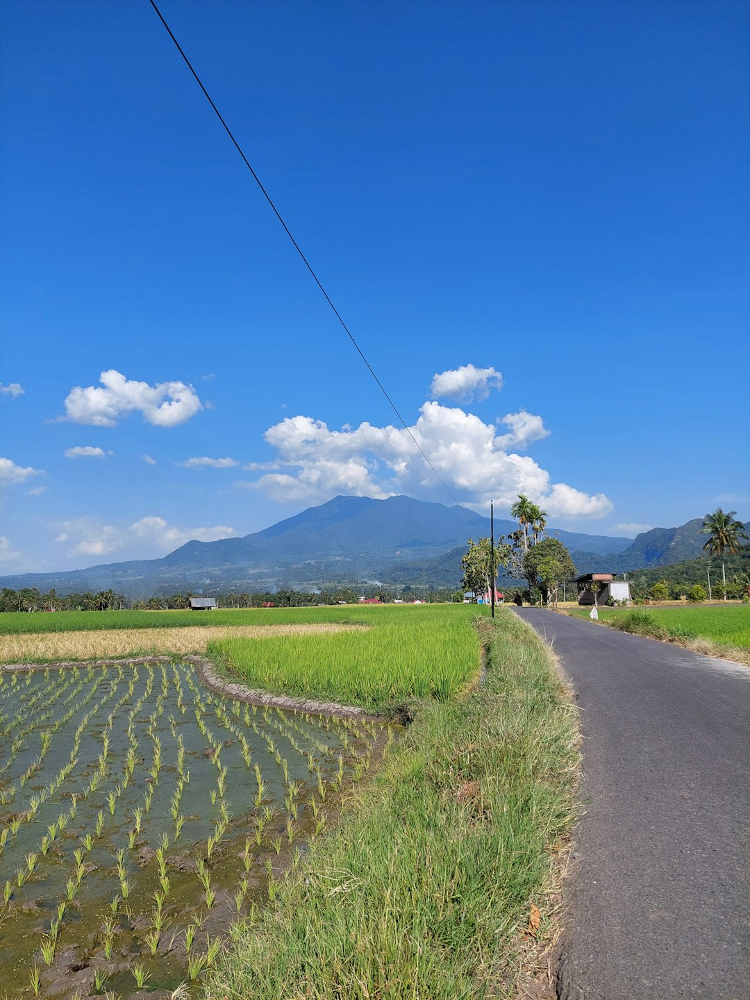 Plain photo spot Gunung Sago Batu