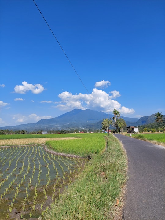 Gunung Sago things to do in Bukittinggi City