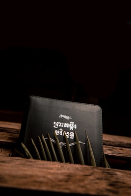 A book with an intricate design and text in an unknown script on the cover. The book is placed diagonally against a wooden surface with green leaves partially covering the bottom. The lighting is dim, creating a moody and mysterious atmosphere.