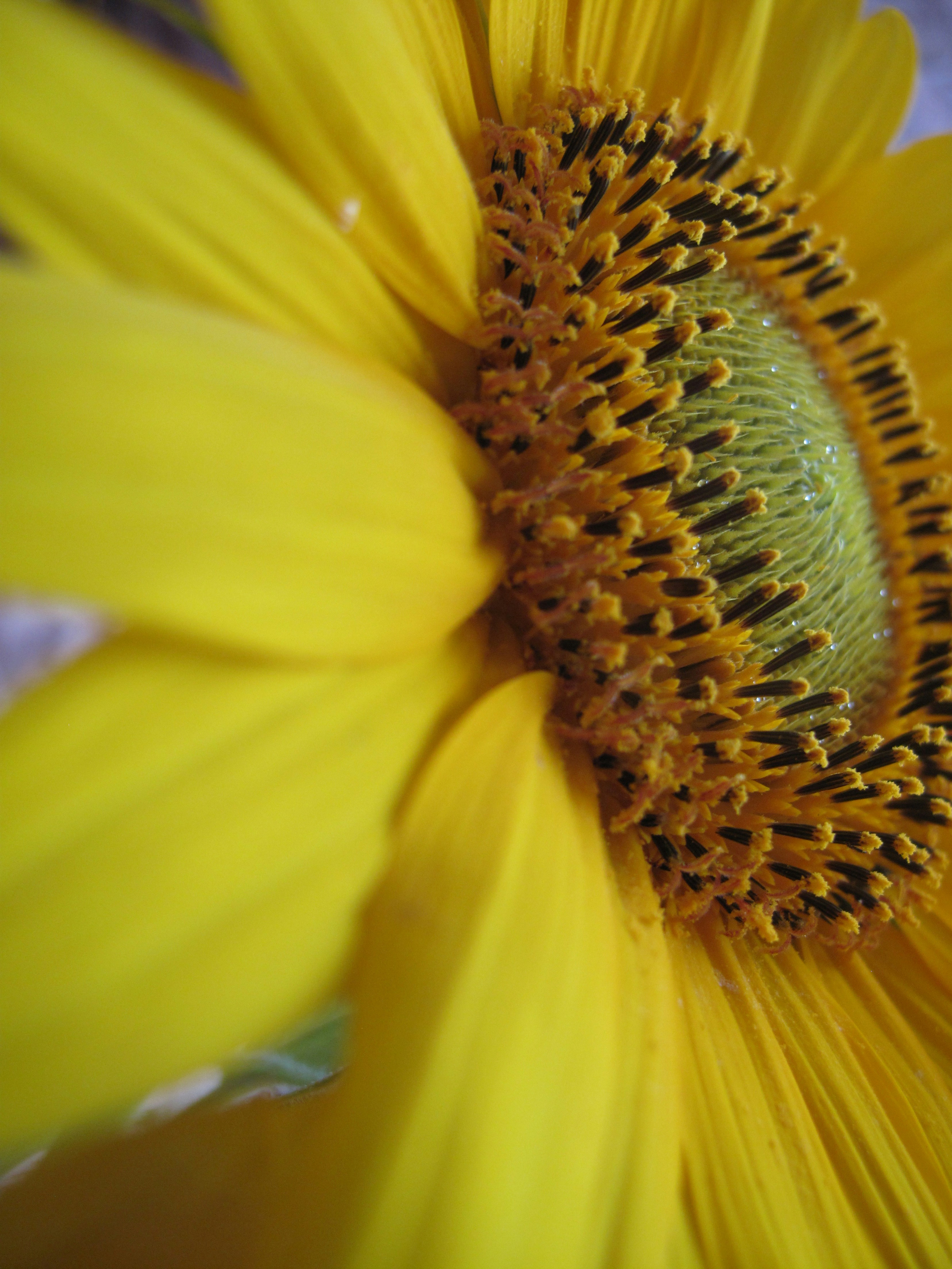 Photo by paniushkina