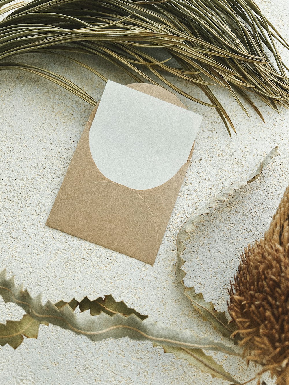 a close-up of a feather