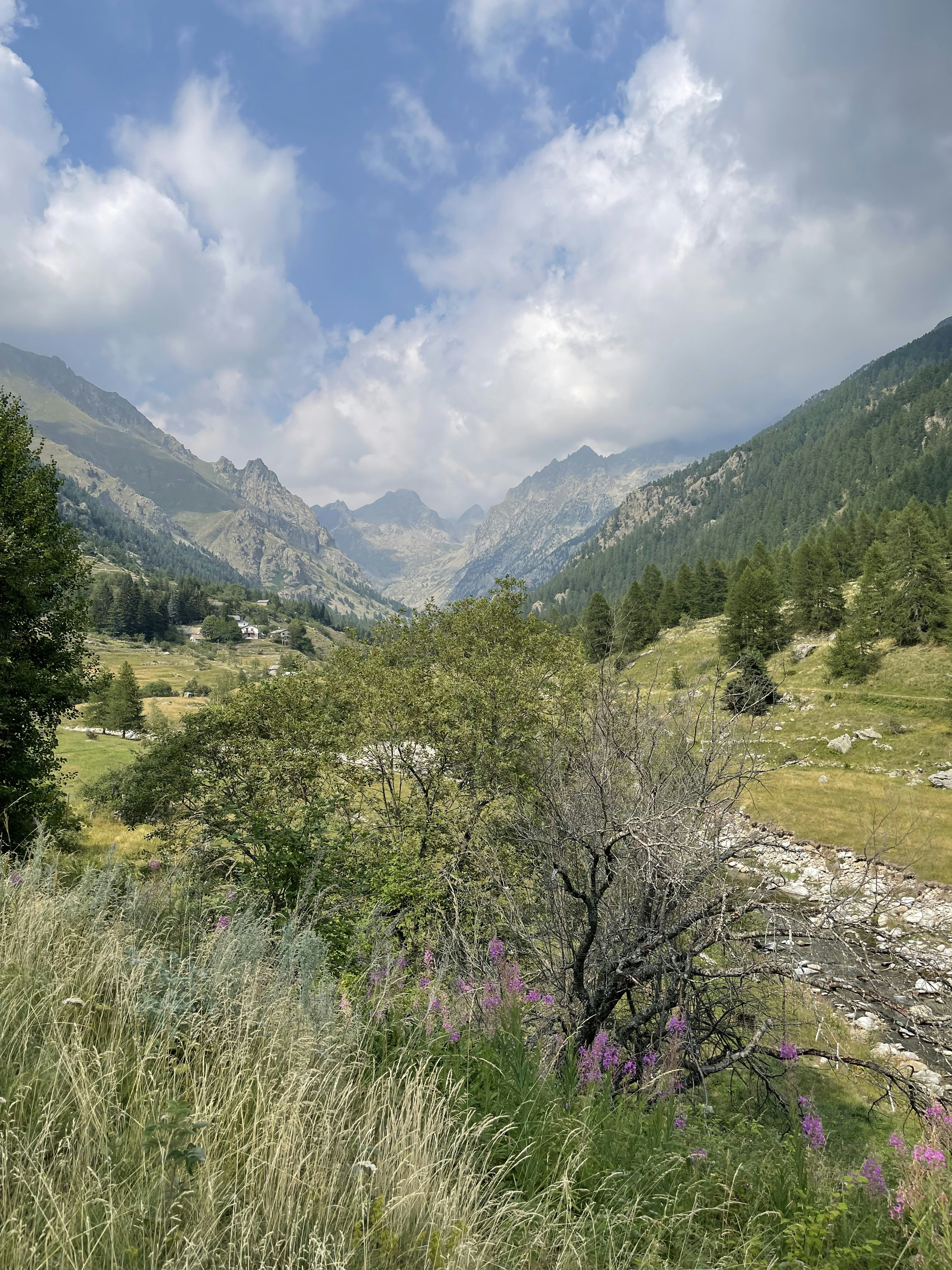 Photo by francoisbanvillet