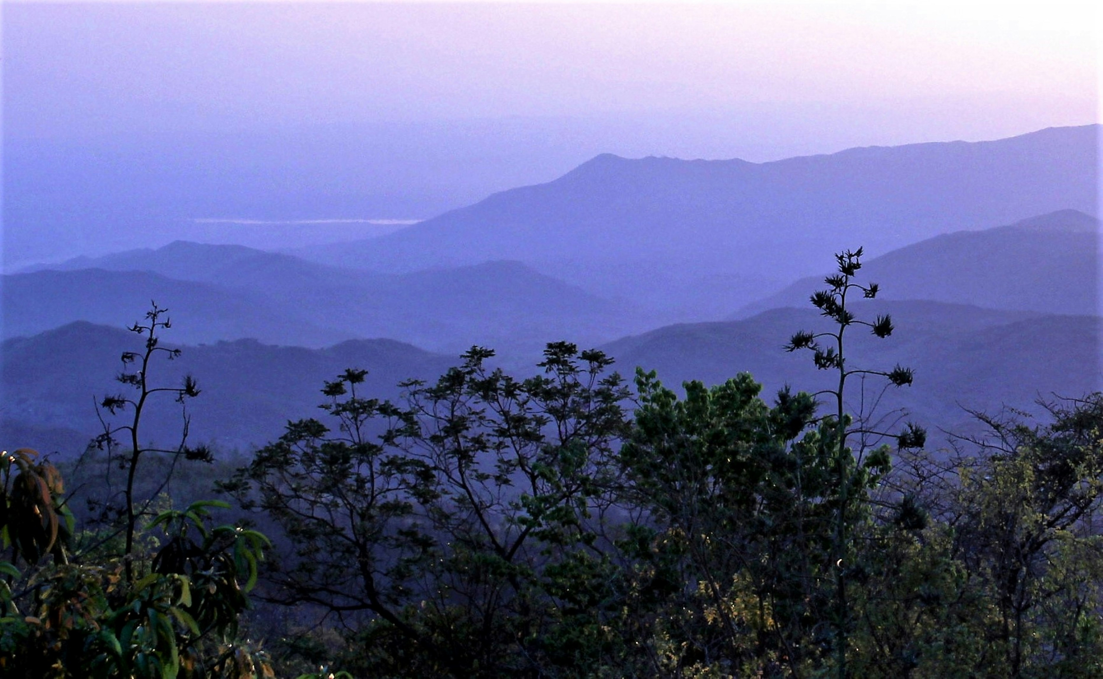 Photo by craigmanners_com