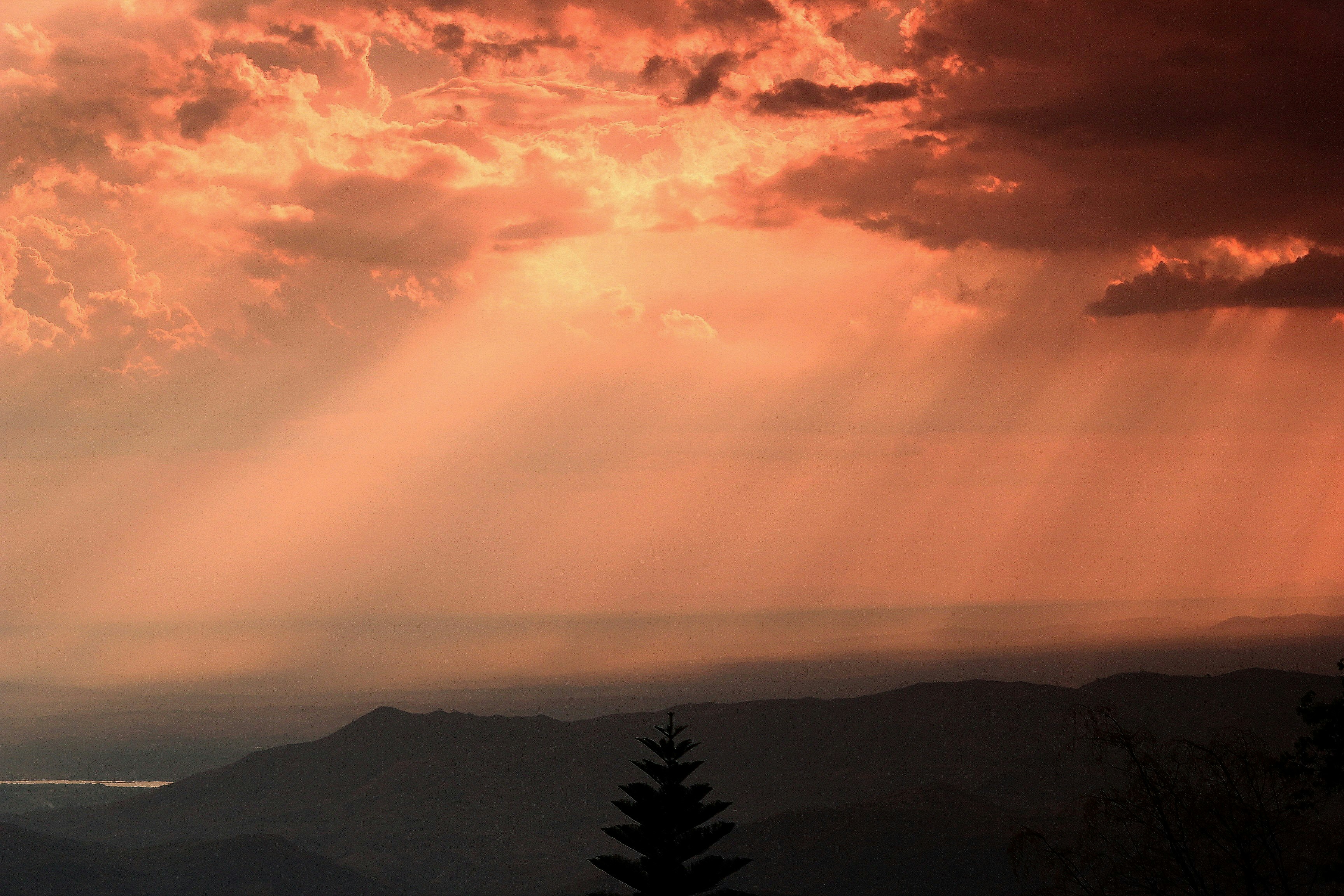 Photo by craigmanners_com