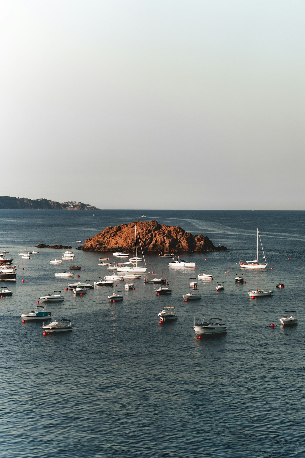a large group of boats in the water