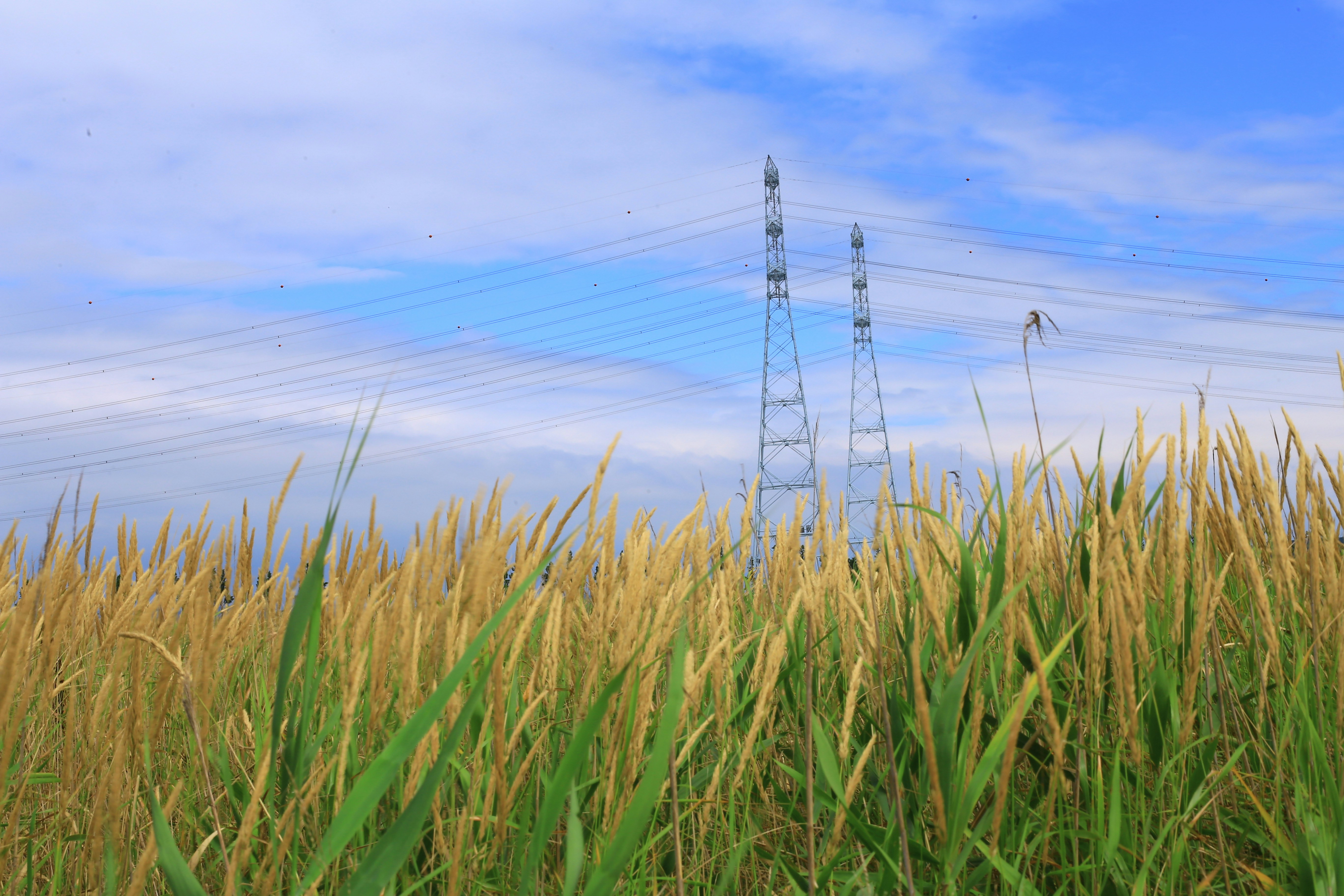 Essex Urban Broadband: £8.3m Gigabit Boost Targets City Blackspots