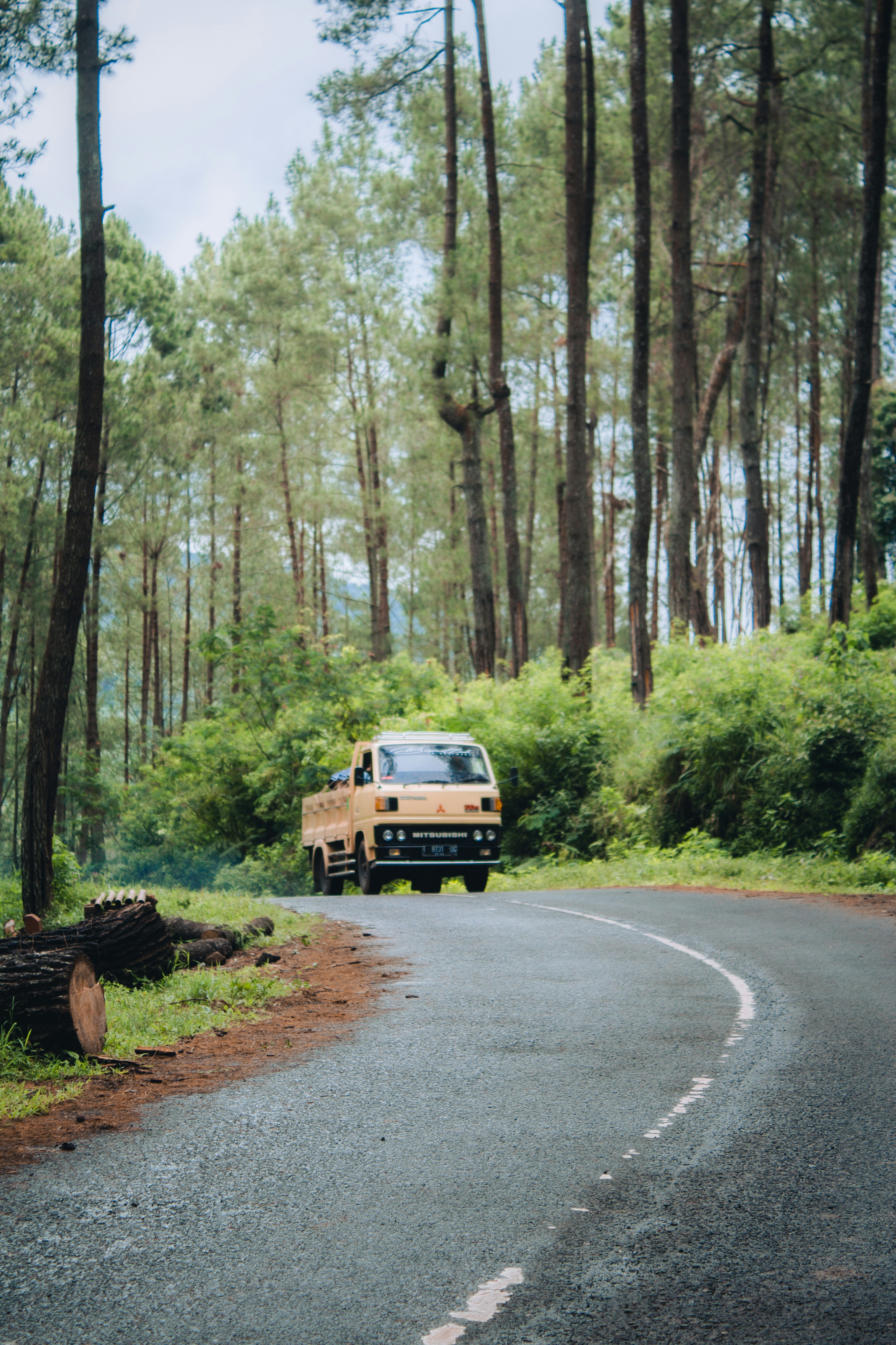 Photo by firmanfatthul