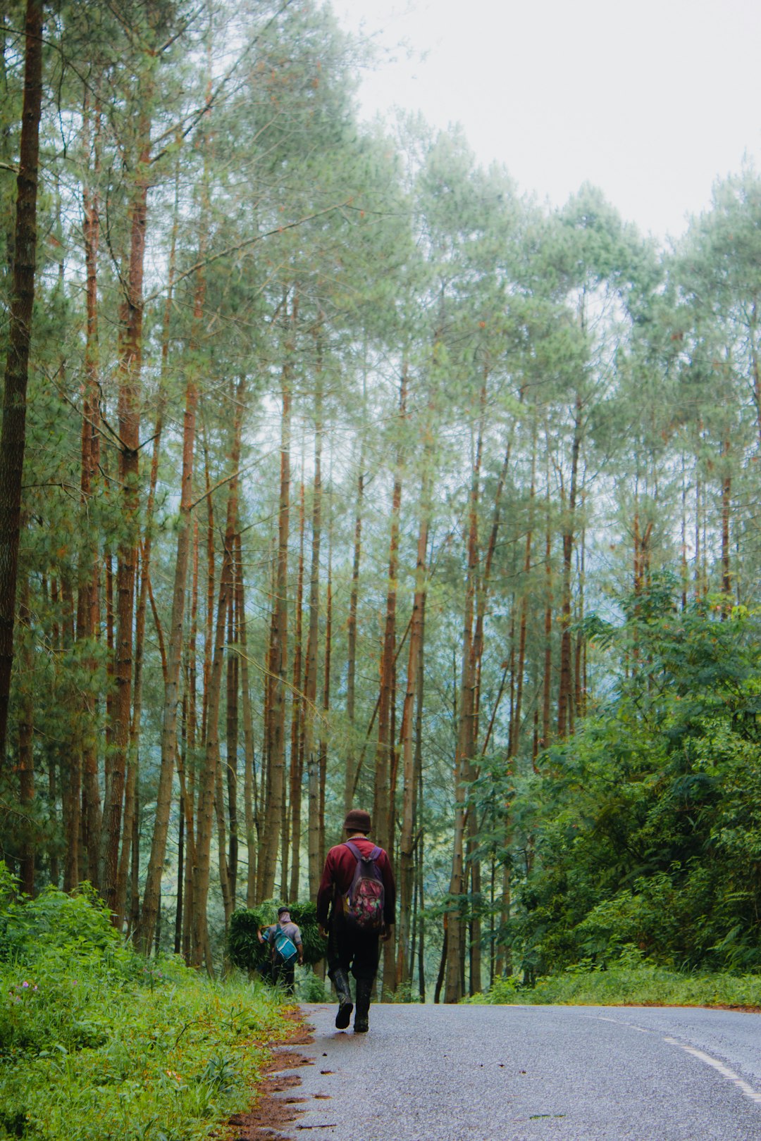 Ecoregion photo spot Kawah Karaha Bodas Sindanglaya