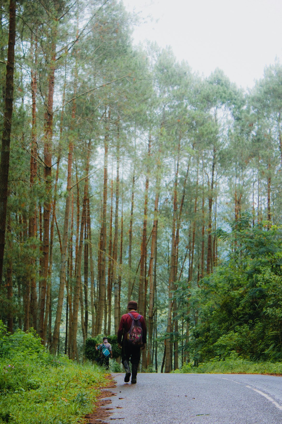 Ecoregion photo spot Kawah Karaha Bodas West Java