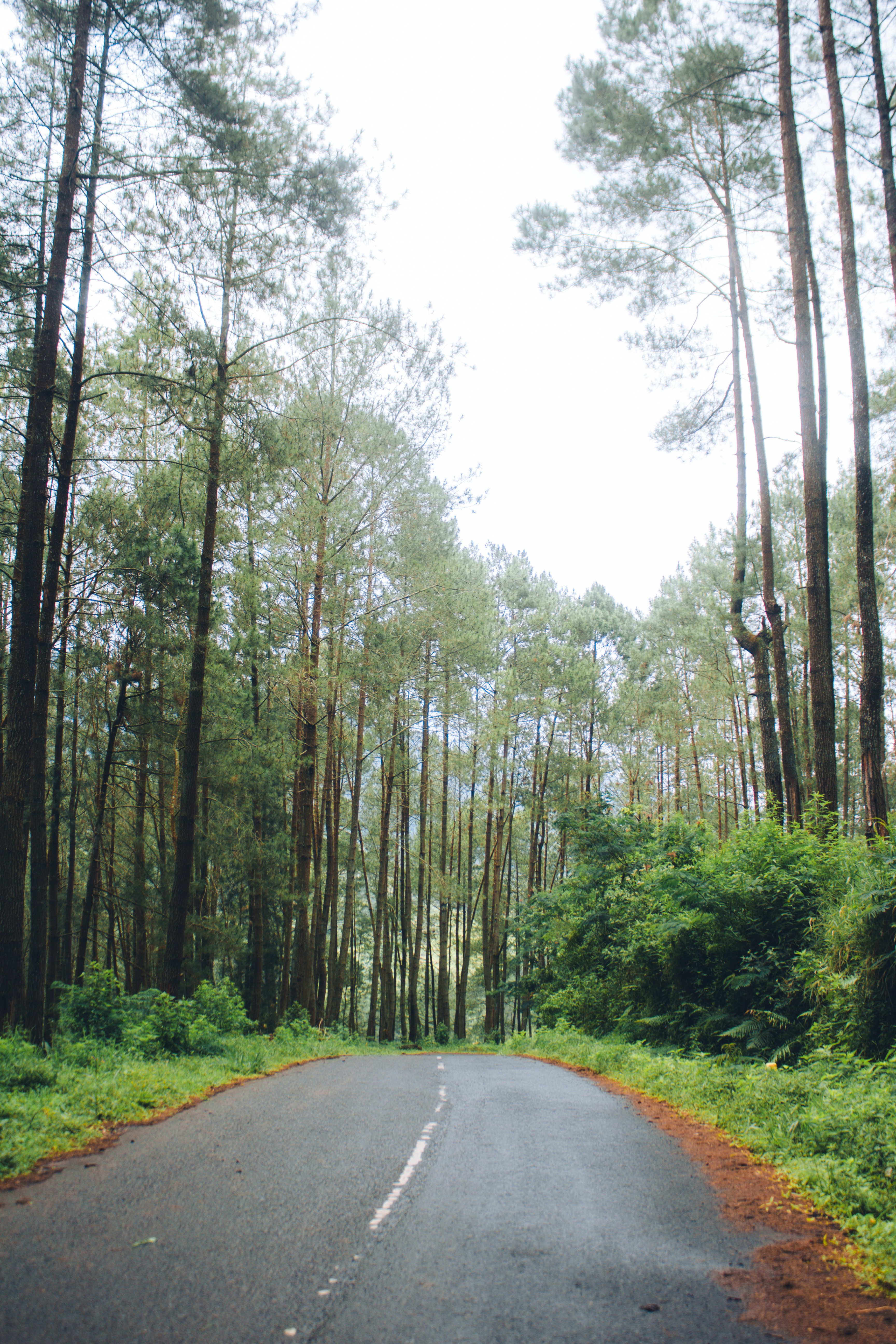 Photo by firmanfatthul