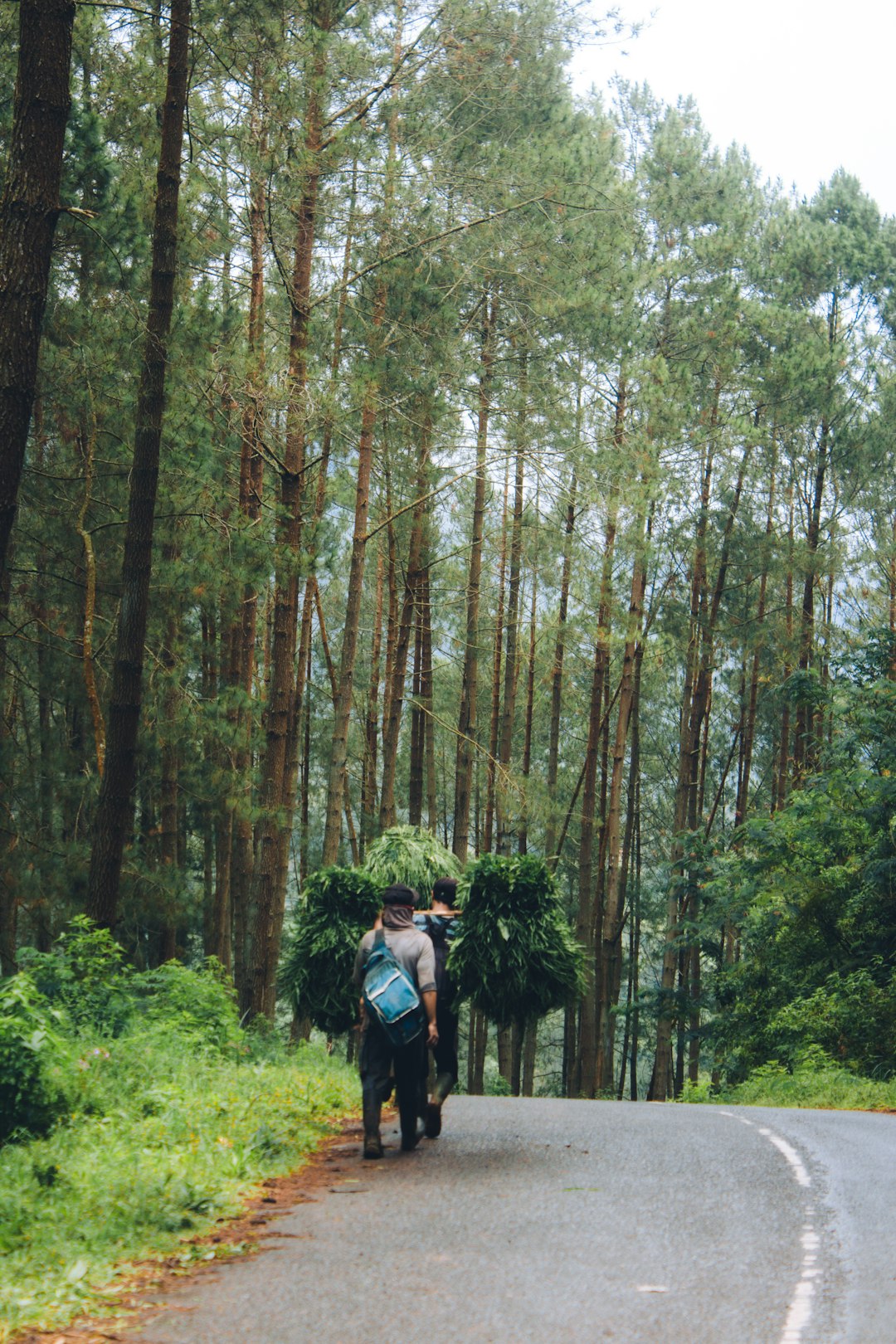 Ecoregion photo spot Kawah Karaha Bodas Tasikmalaya