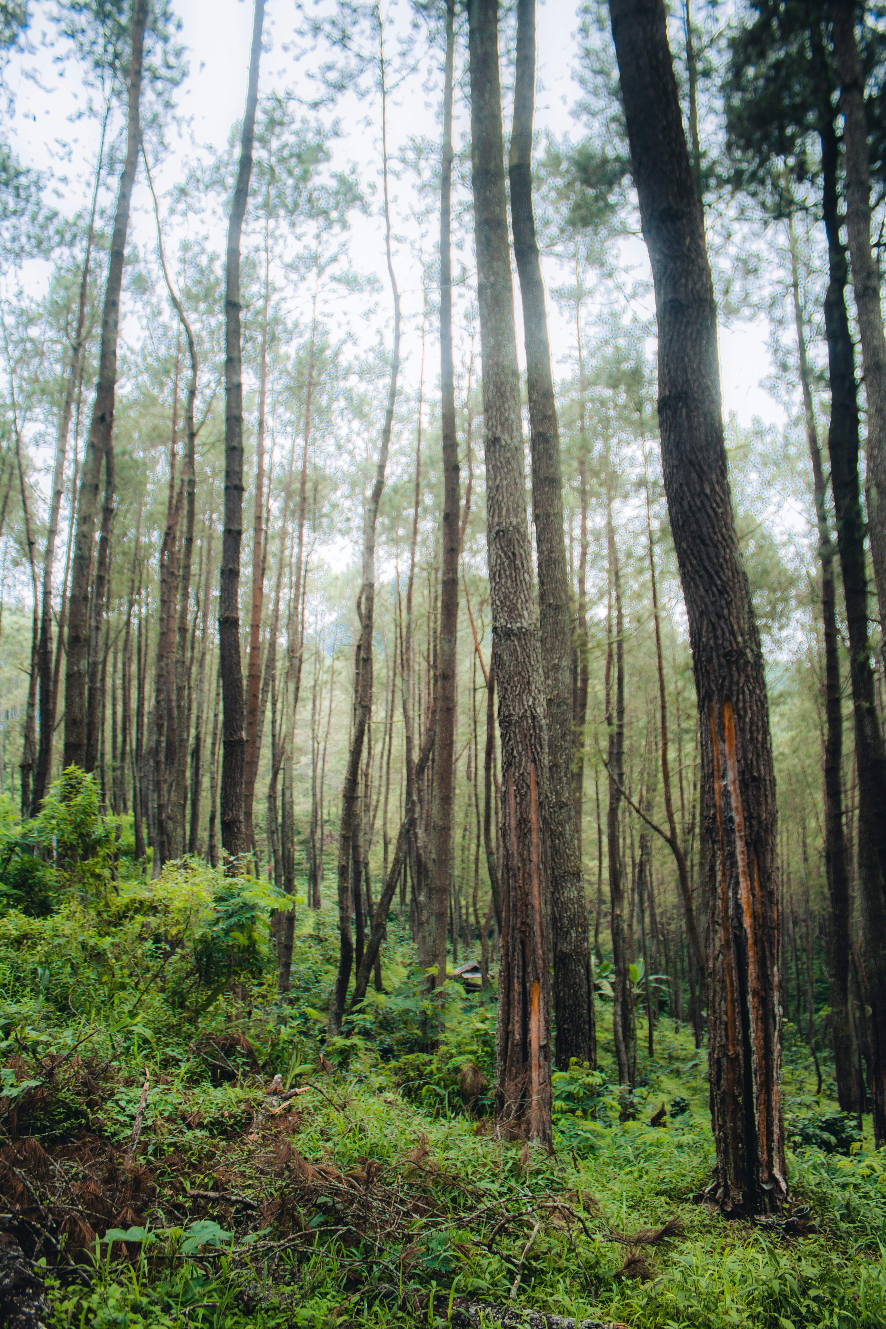 Photo by firmanfatthul