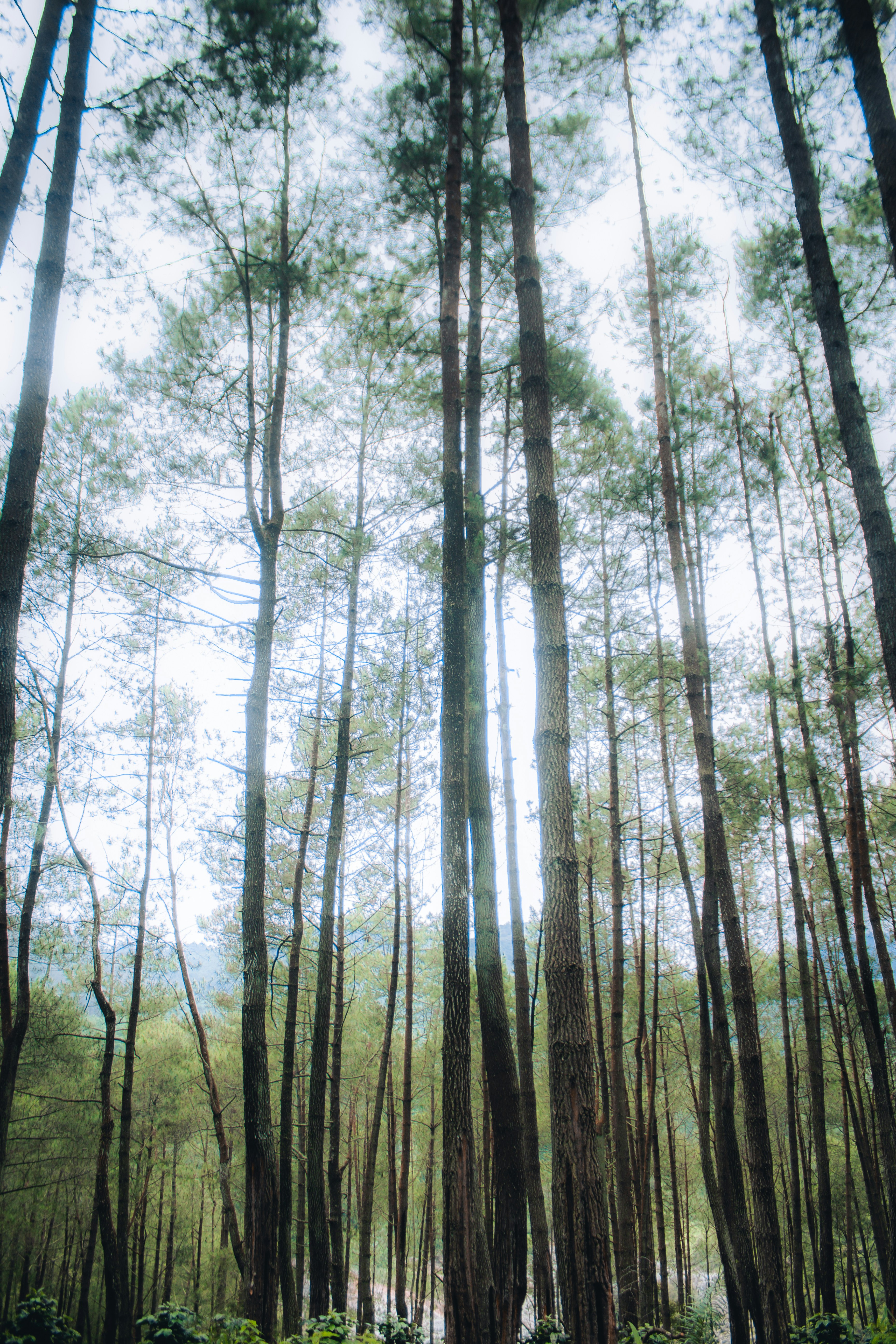 Photo by firmanfatthul