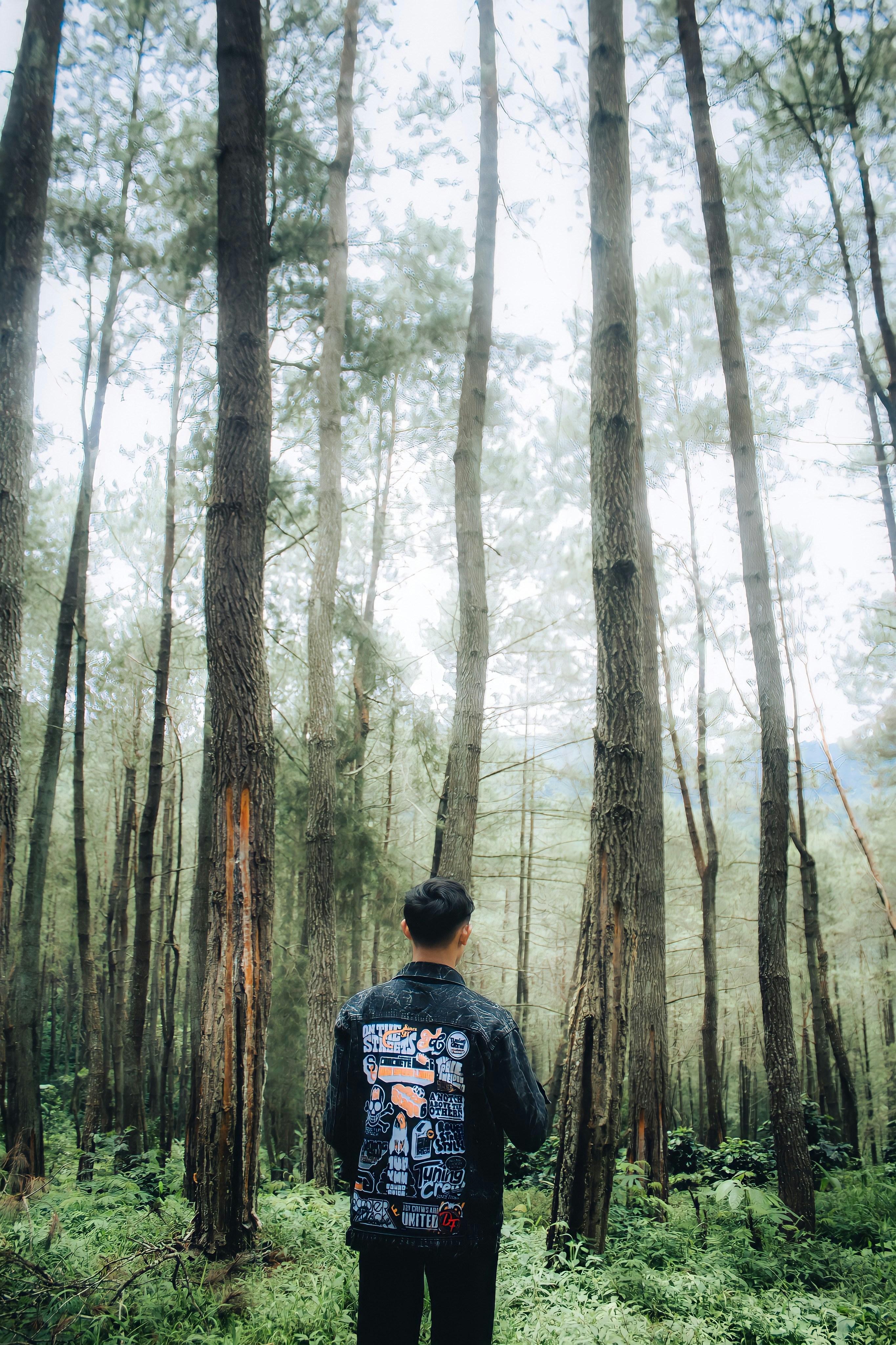 Photo by firmanfatthul