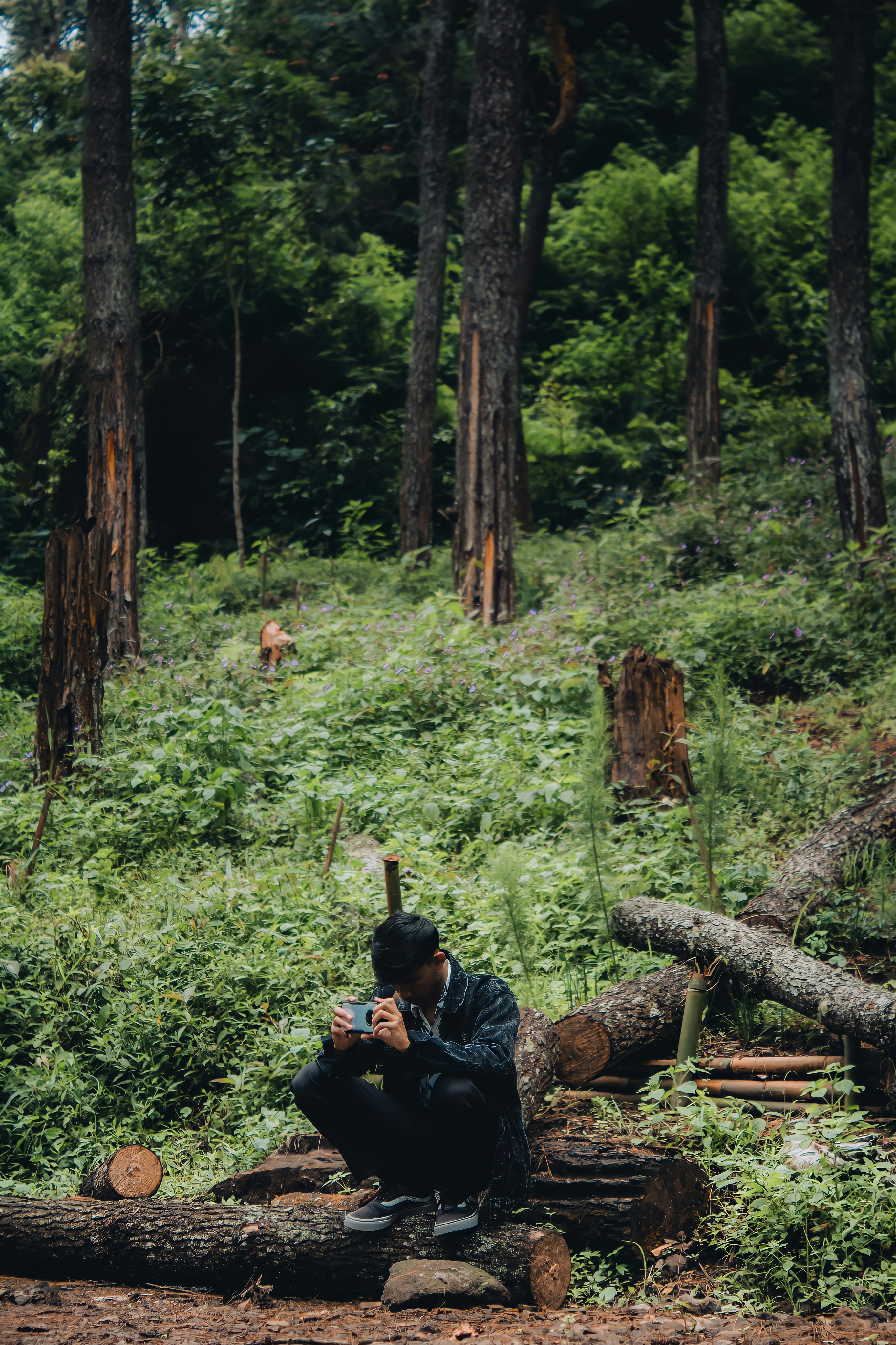 Photo by firmanfatthul