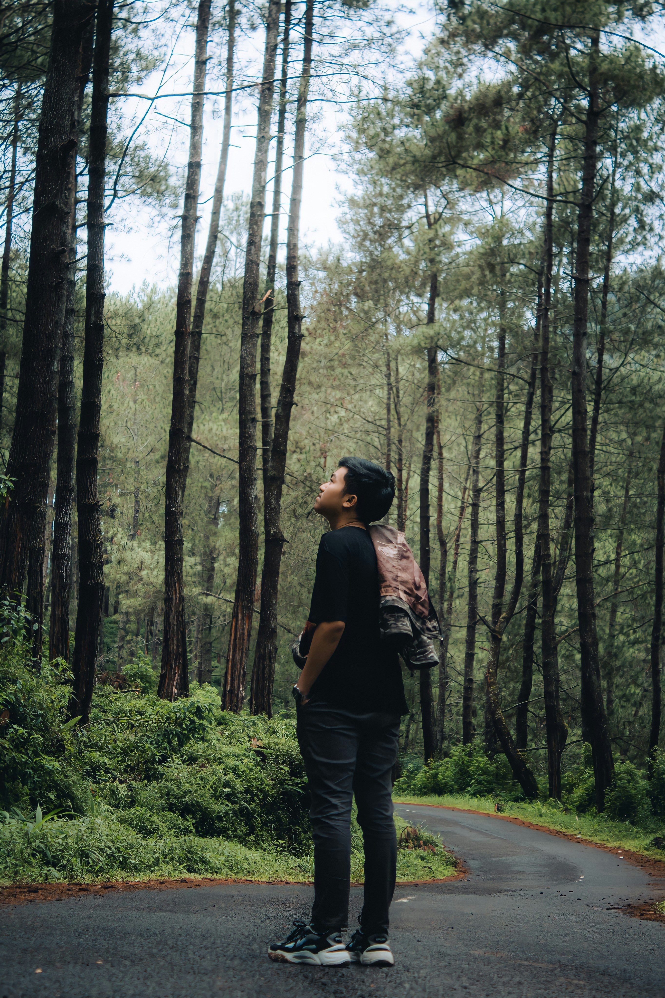 Photo by firmanfatthul