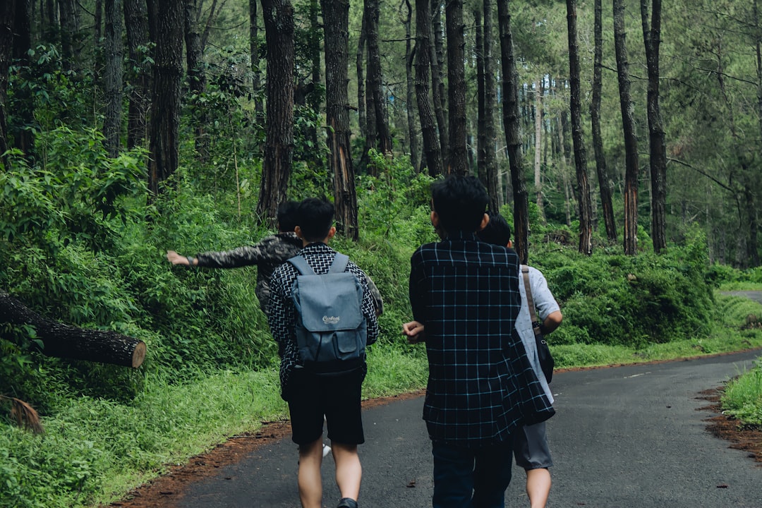 Forest photo spot Kawah Karaha Bodas Bandung