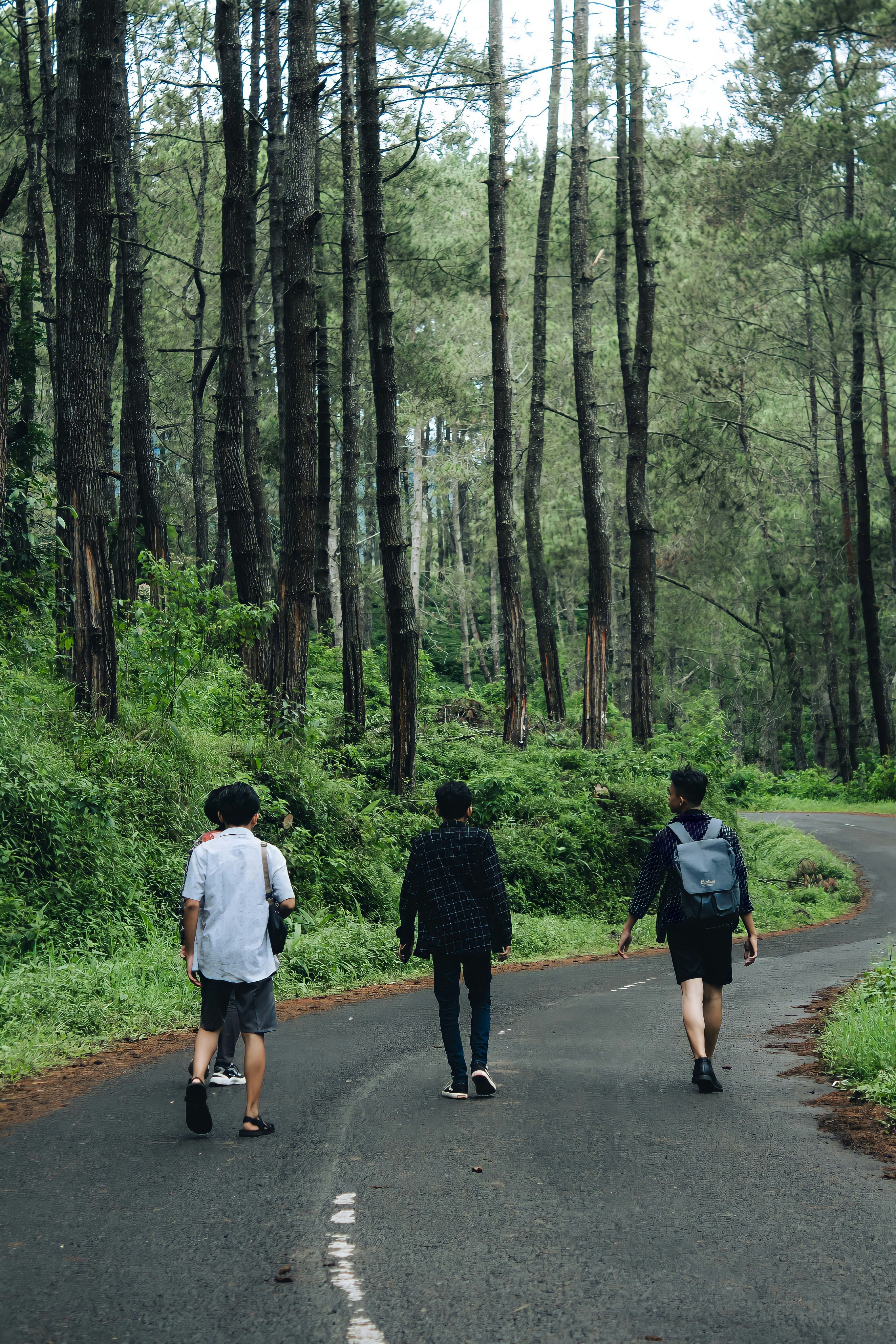 Photo by firmanfatthul