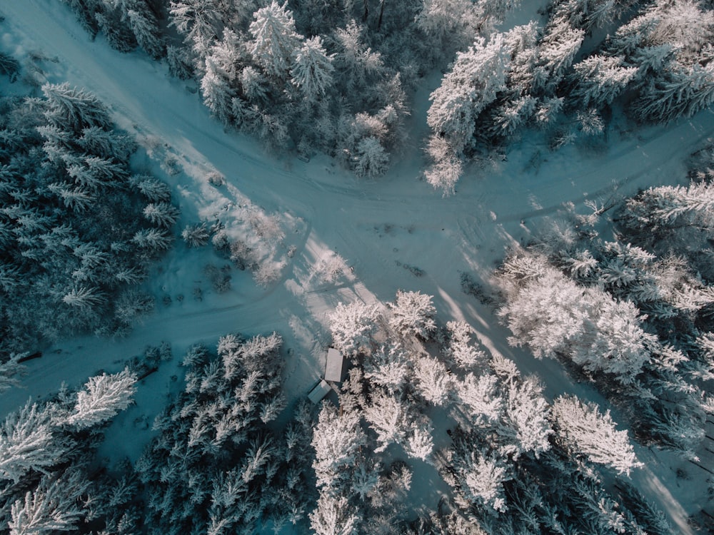 a river with a bridge over it