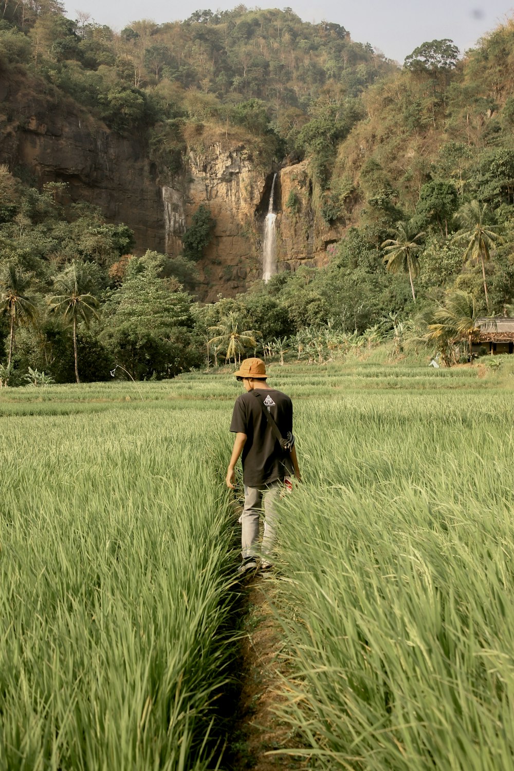 a person walking through a field of grass with a tall waterfall in the background